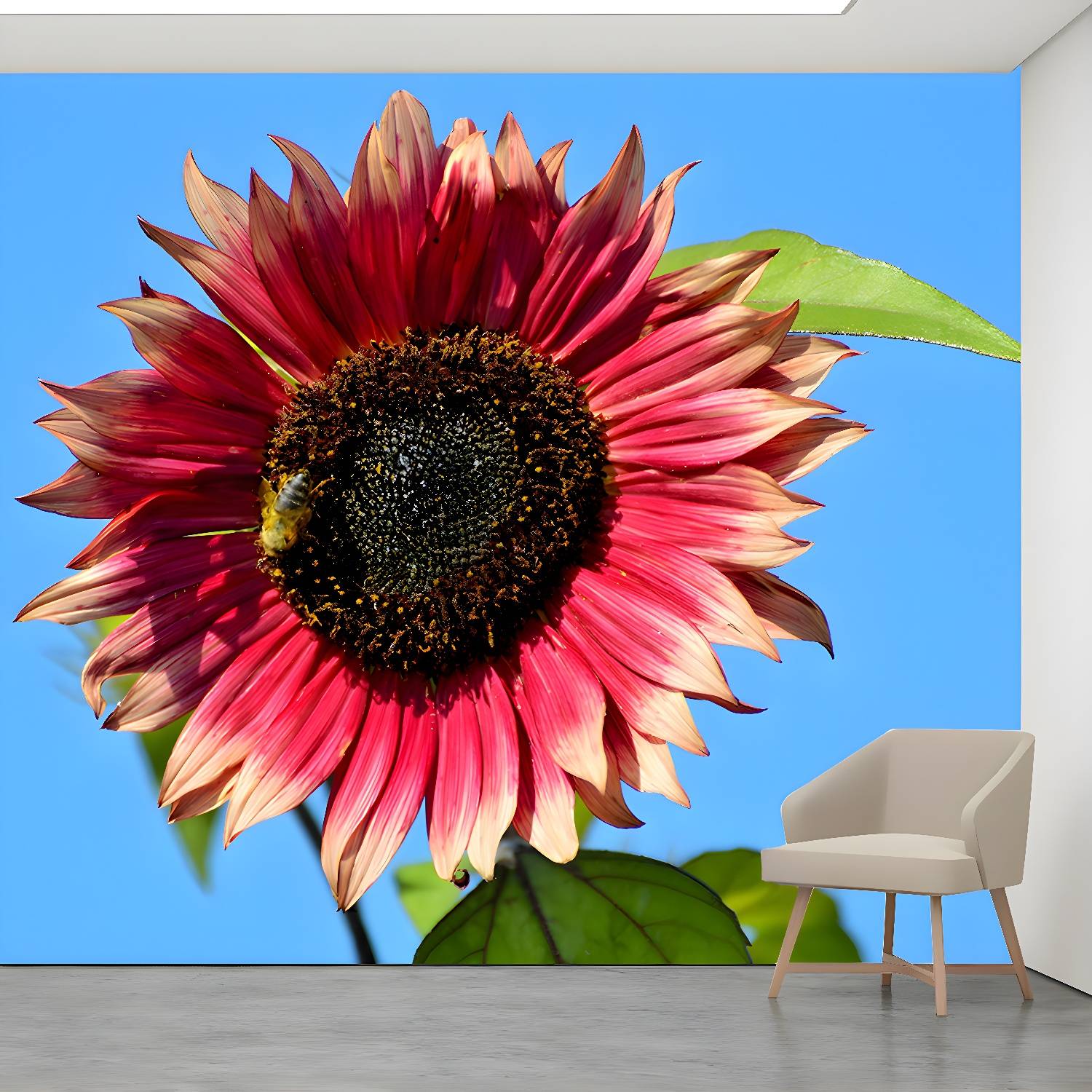 Imported image a9a7e267281c 3390422.jpg