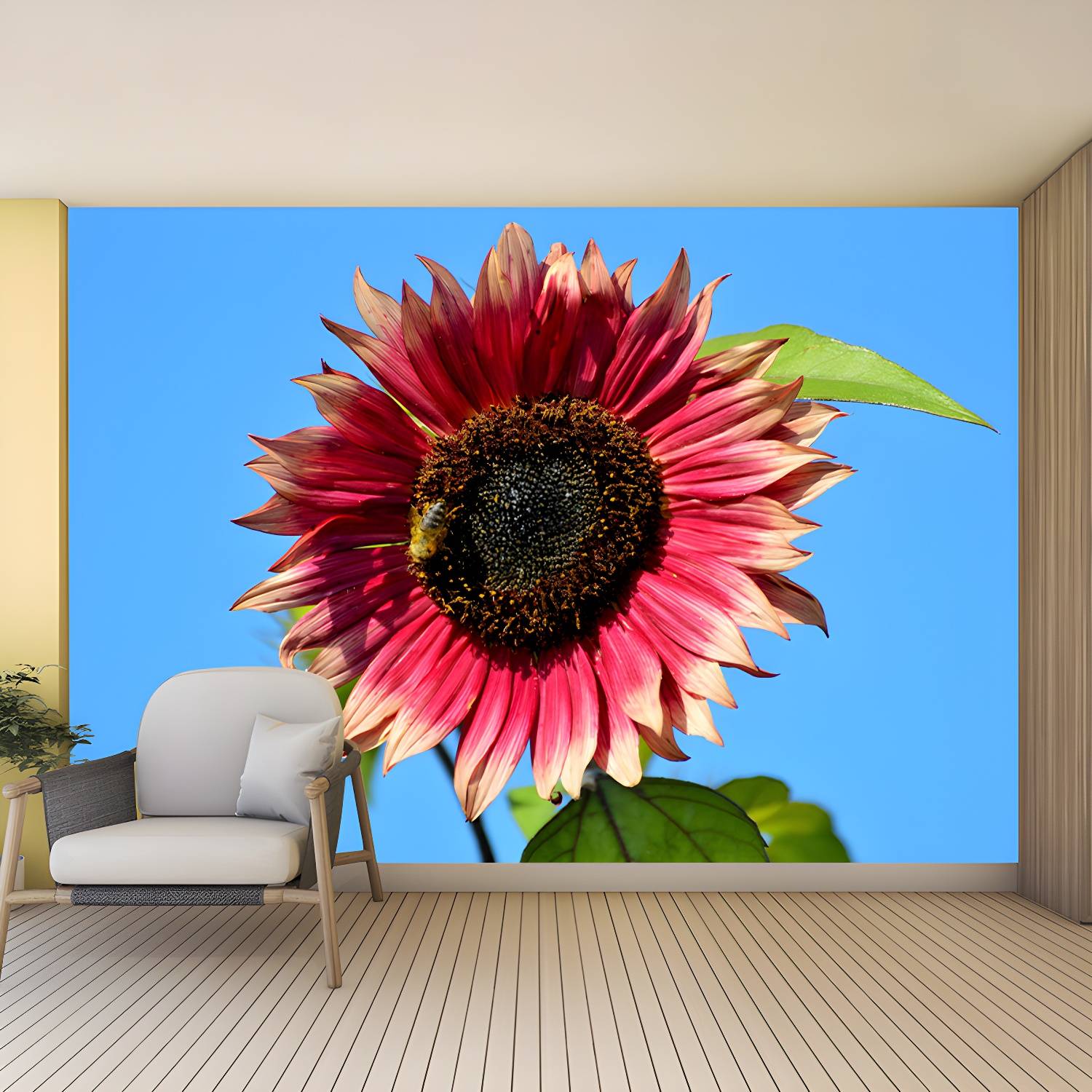 Imported image 779dcd62ef3e 3390423.jpg