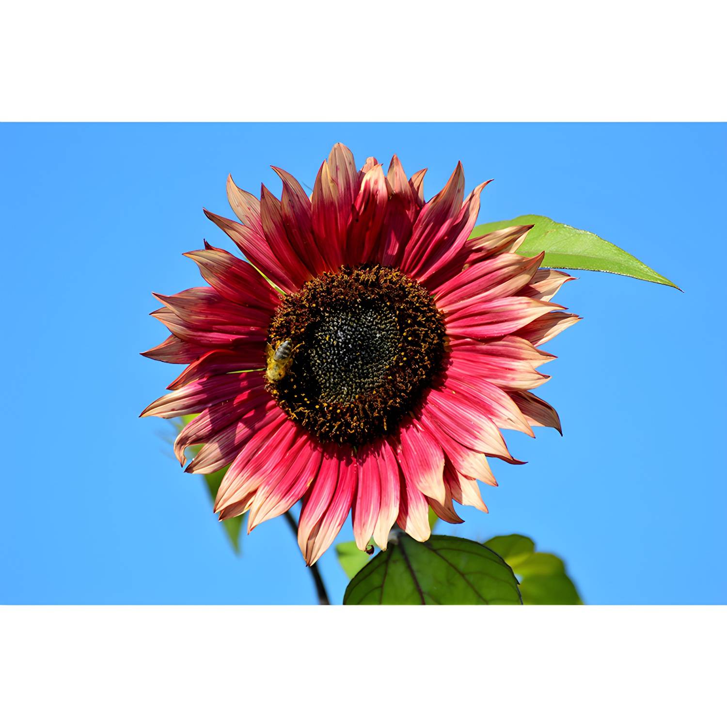 Imported image ff1250f9fda7 3390425.jpg