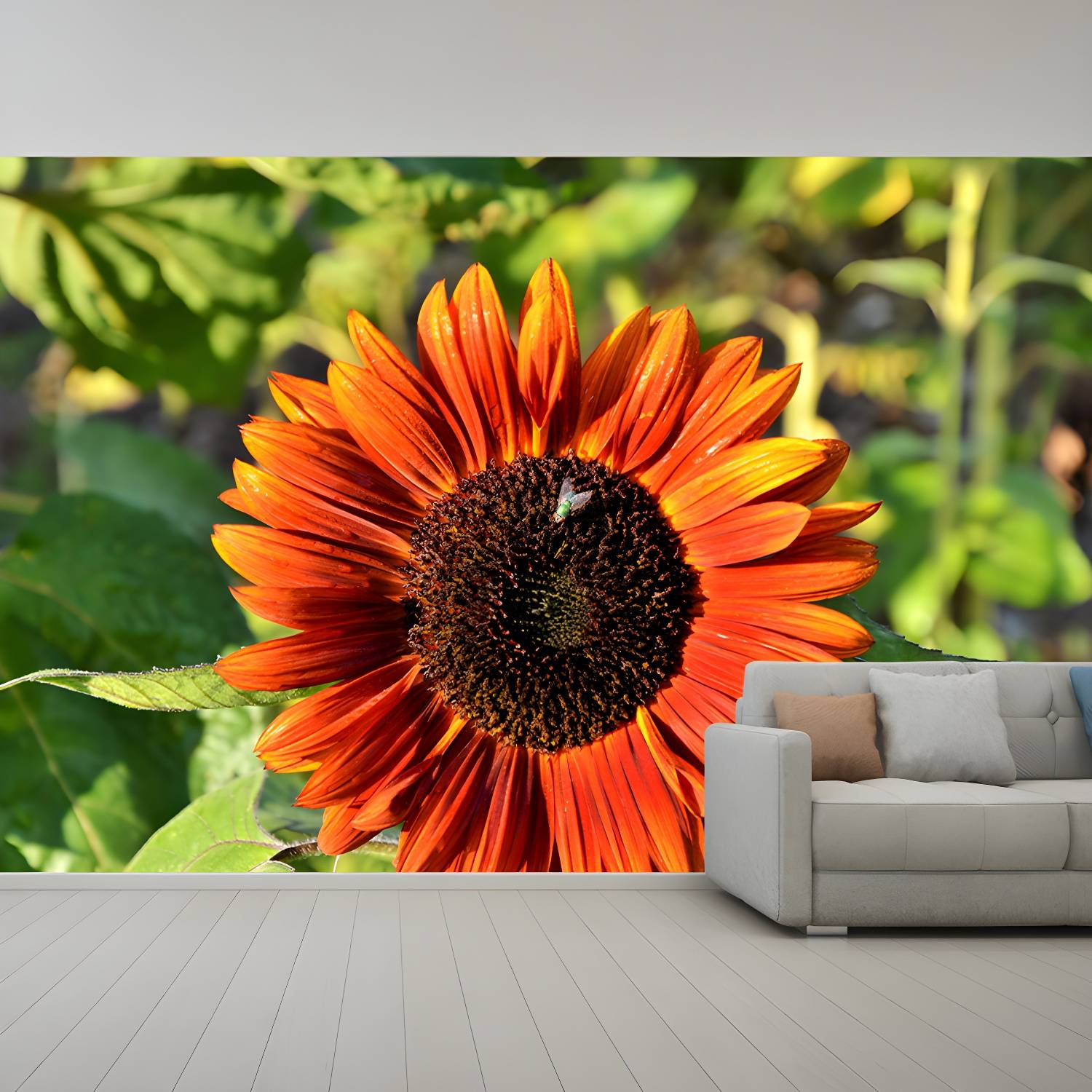 Imported image d256461e4290 3390428.jpg