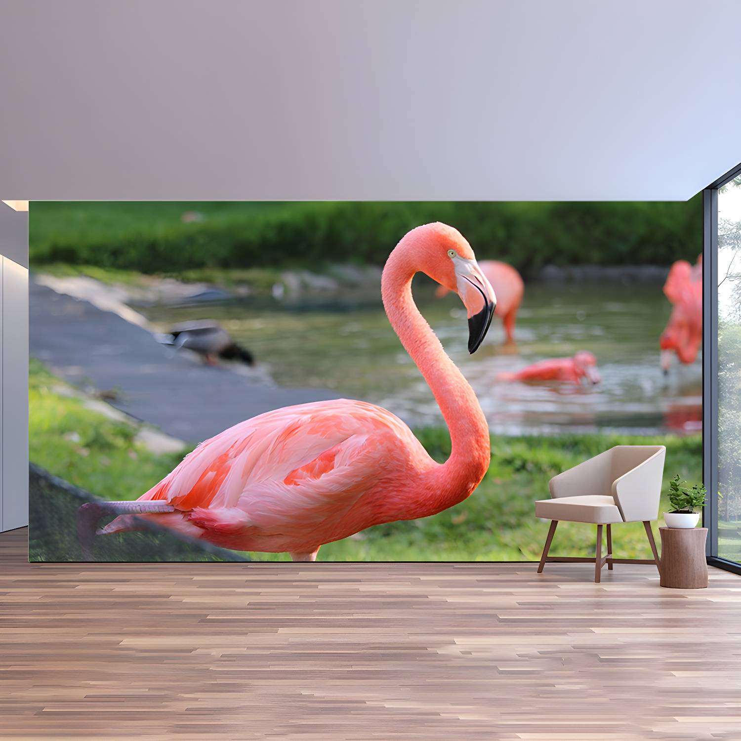 Imported image 8dba2fc8beba 3390590.jpg