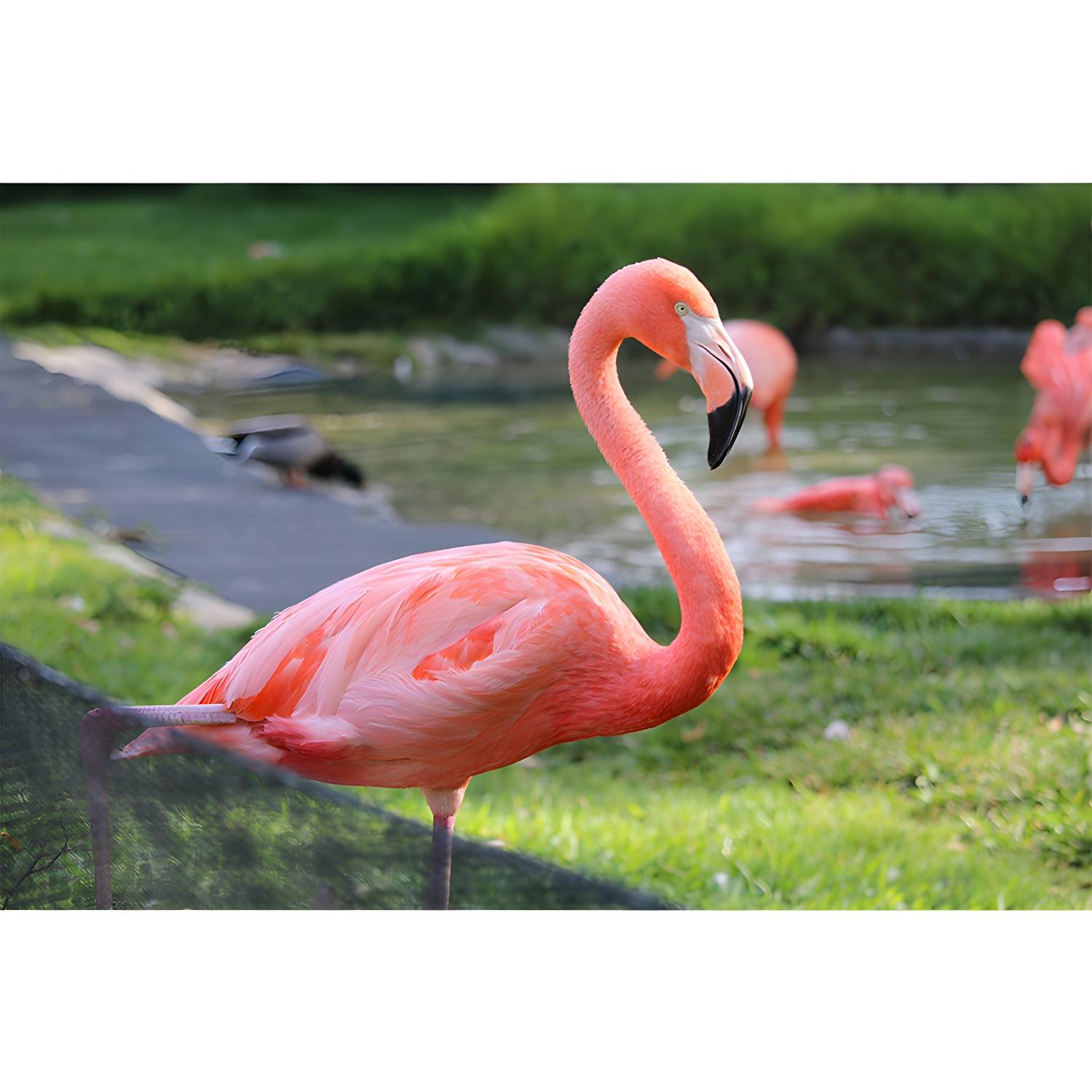 Imported image dbc1e70885fc 3390593.jpg