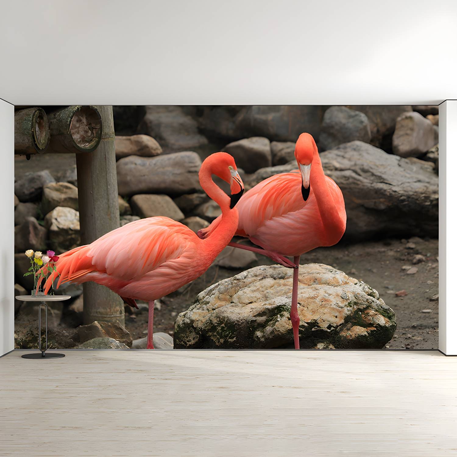 Imported image cddc3d89e900 3390594.jpg
