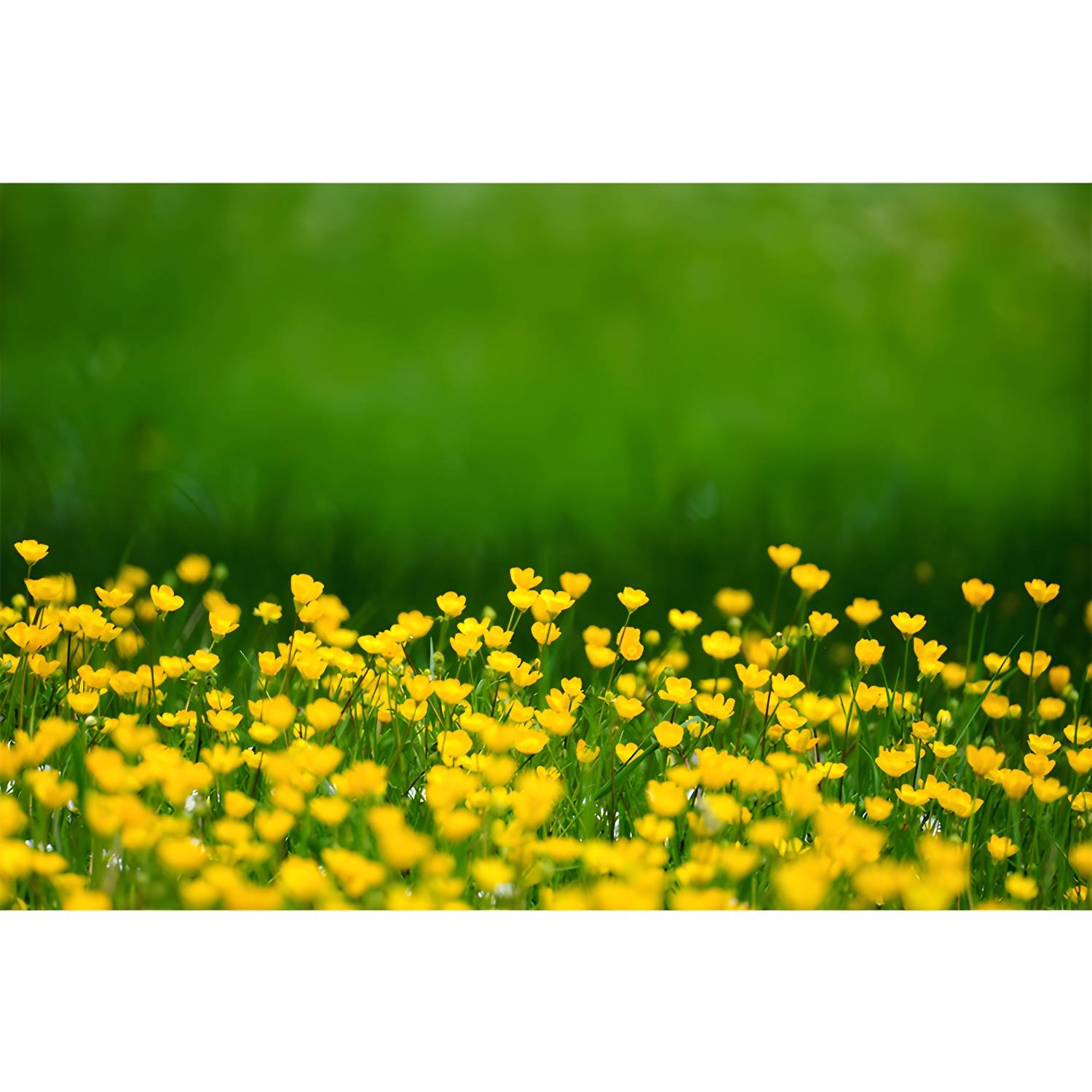 Imported image d29ab3aef189 3390723.jpg