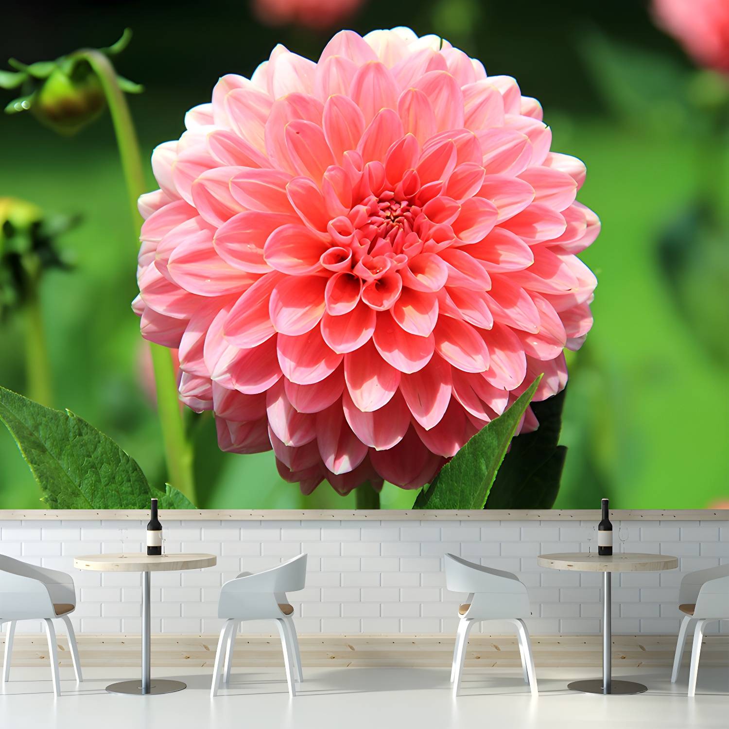 Imported image 3d13a40e0254 3390726.jpg