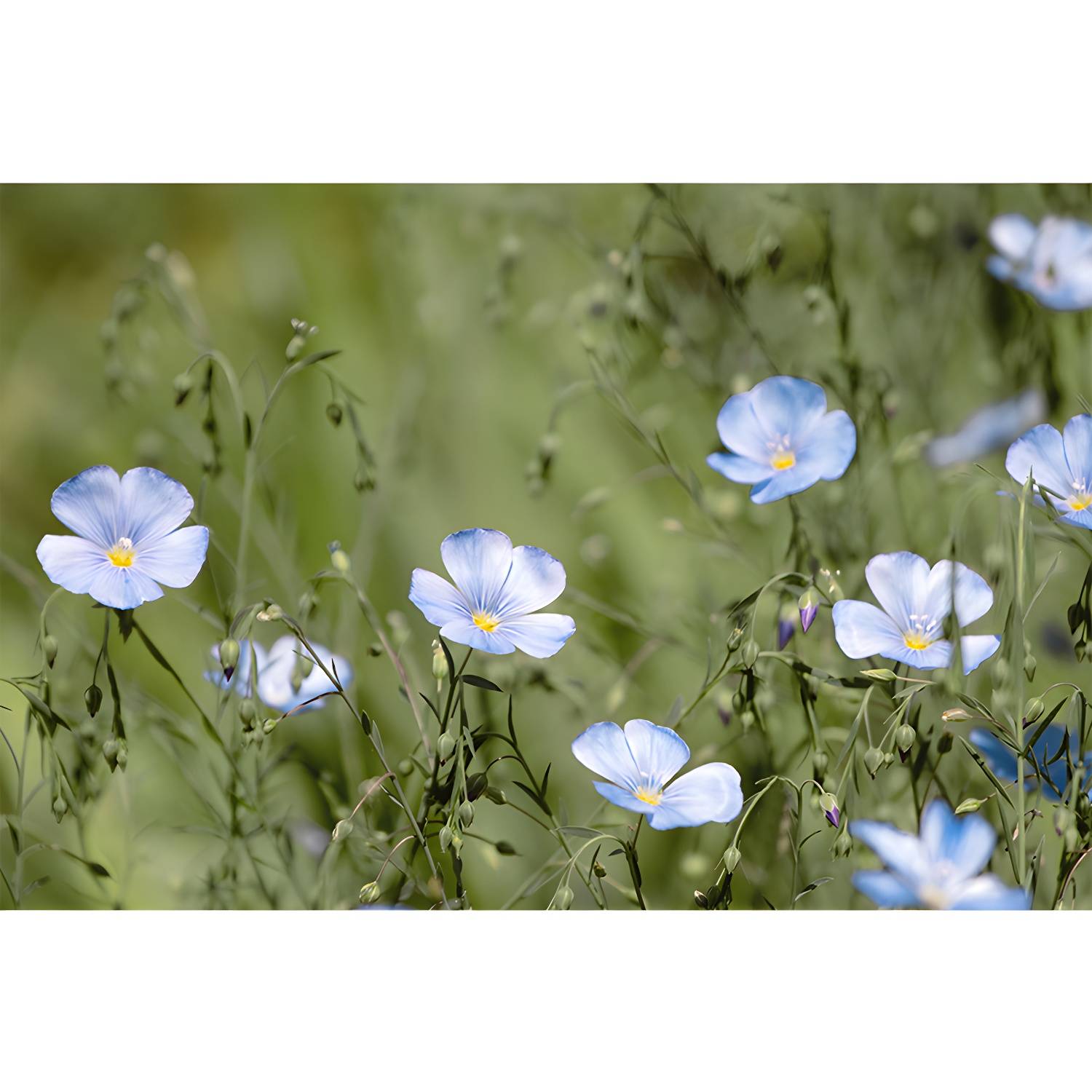 Imported image ce206f3324ad 3390731.jpg