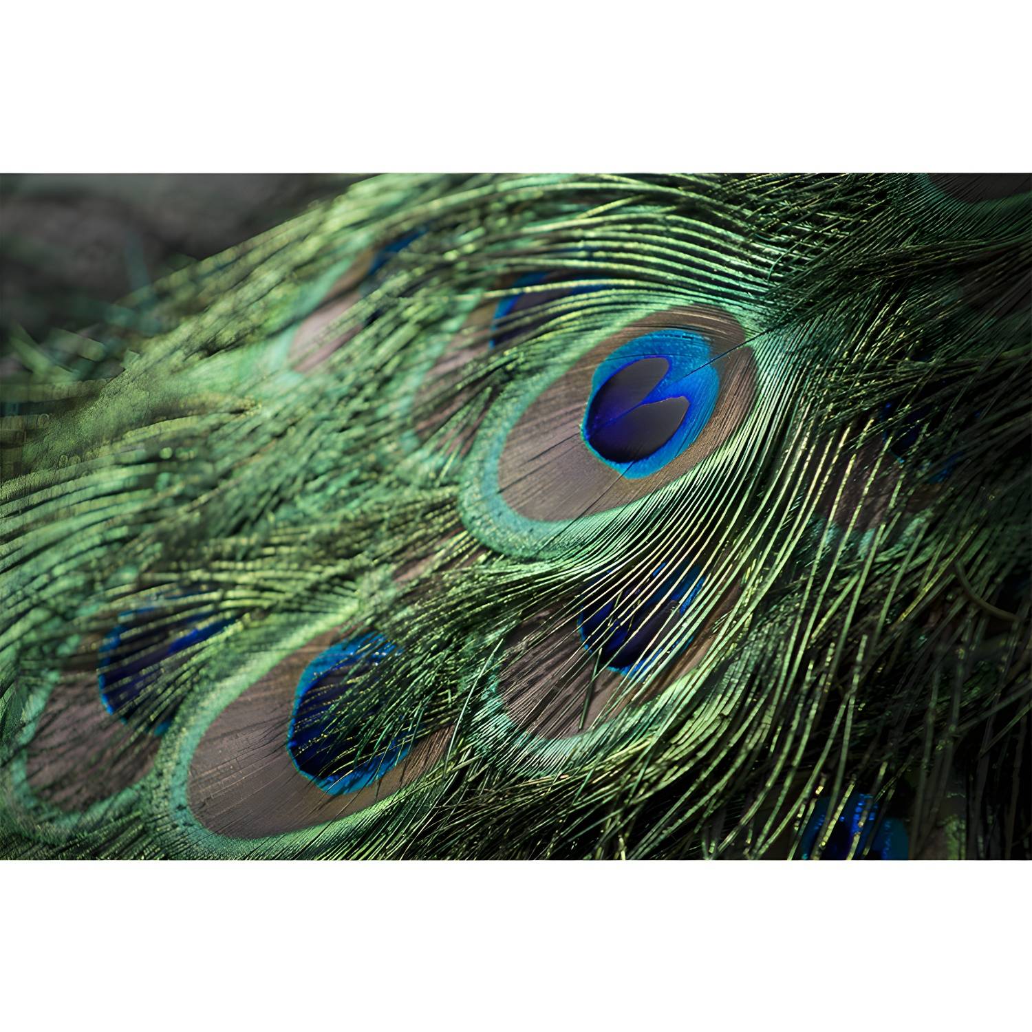 Imported image 87bef85bdf19 3391047.jpg