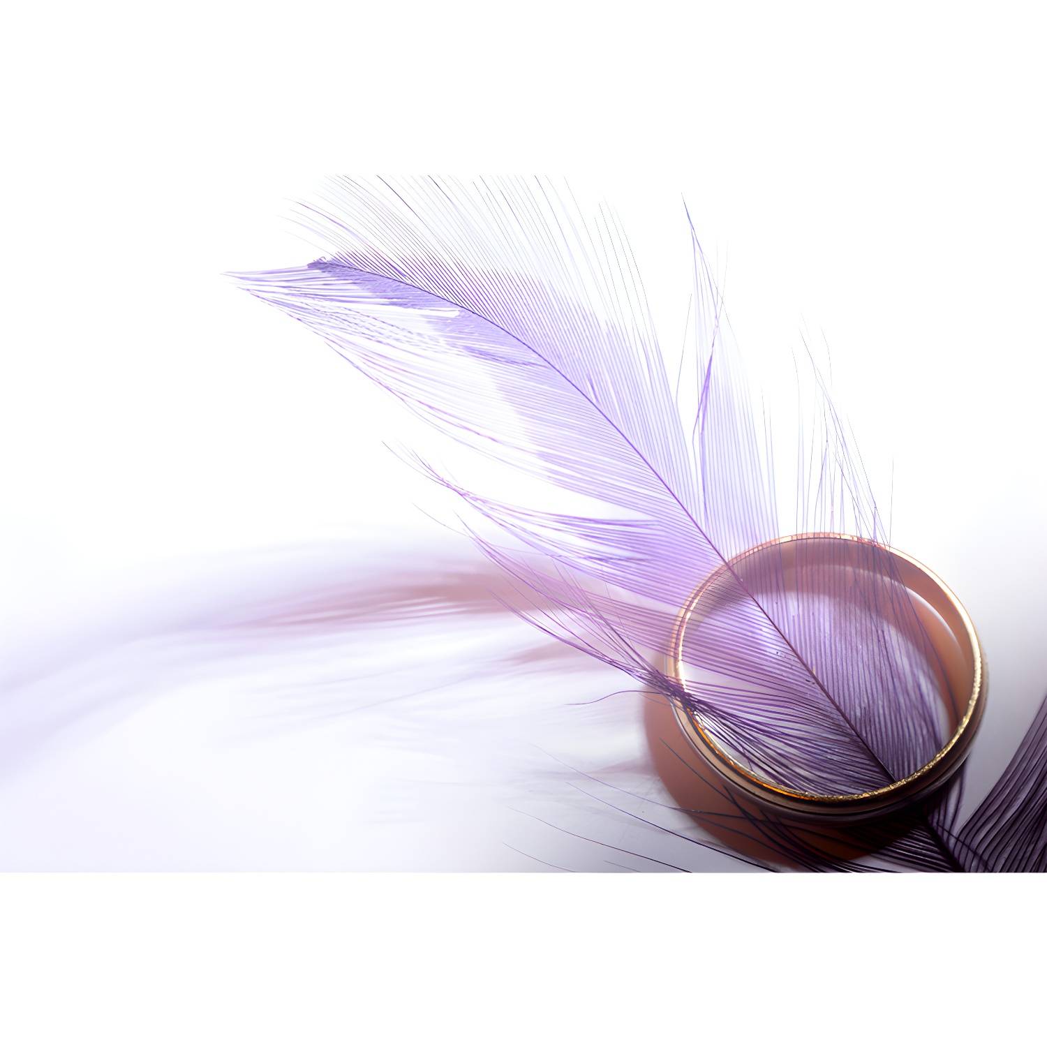 Imported image 19052dd62325 3391127.jpg