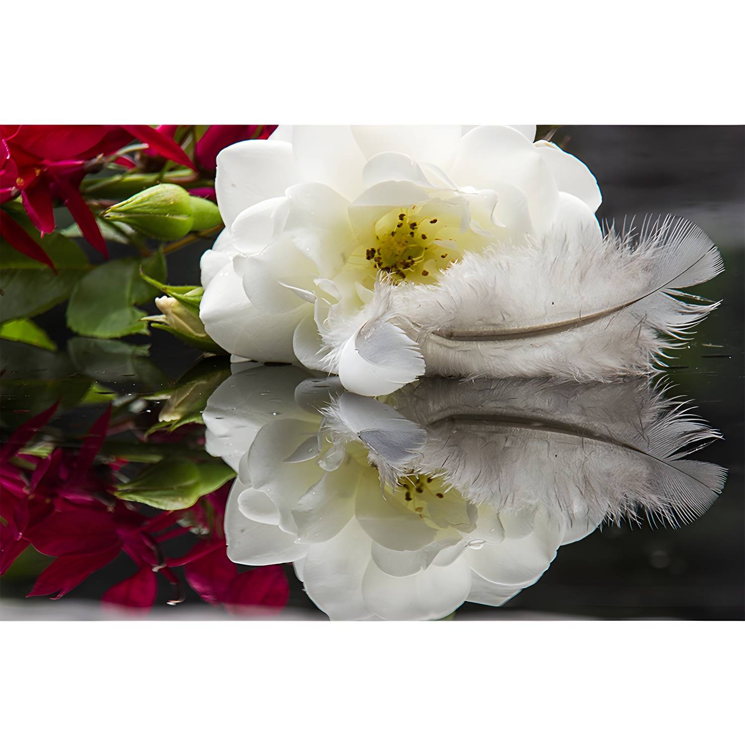 Imported image 5a8a5b9986ec 3391133.jpg
