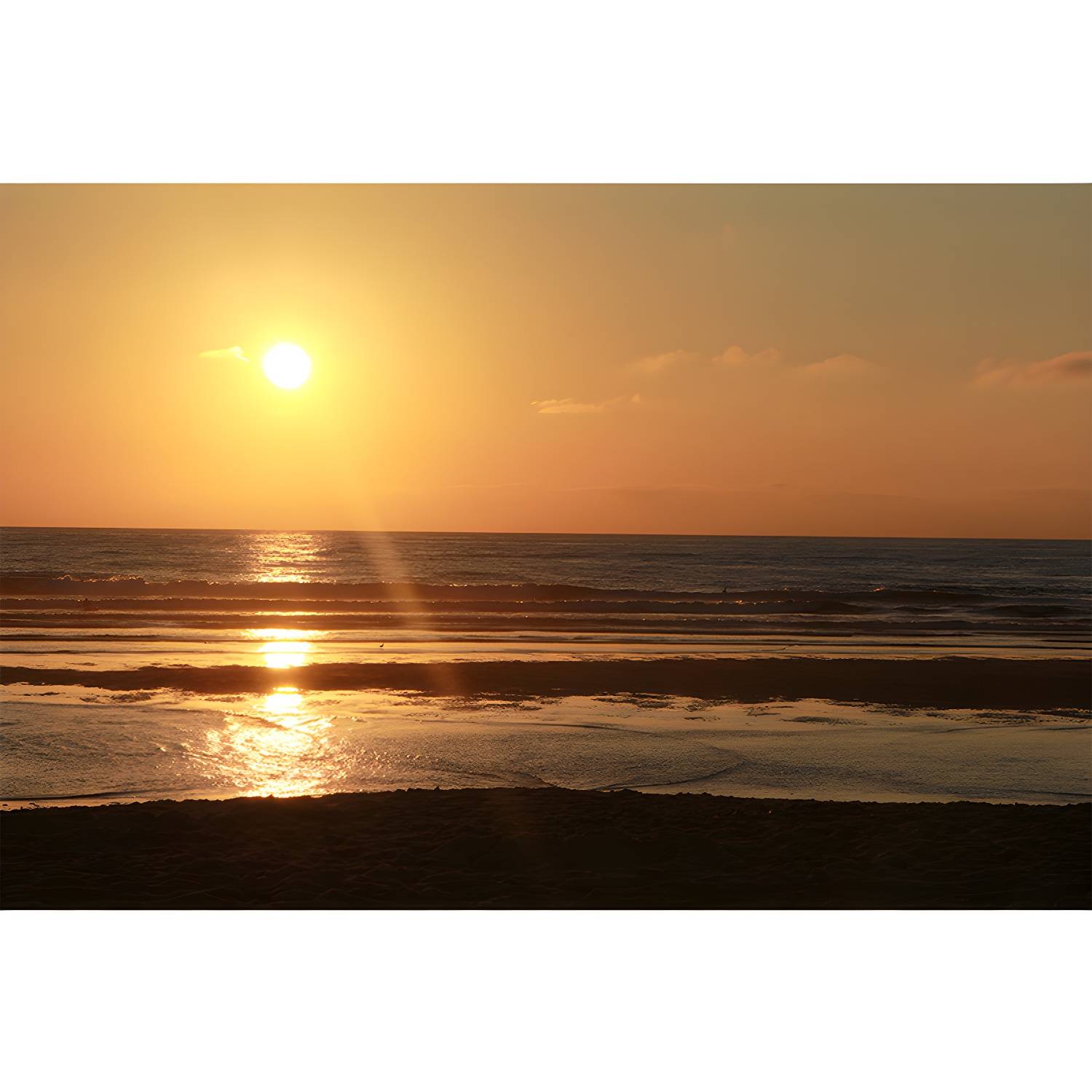 Imported image 69246f539d60 3391457.jpg