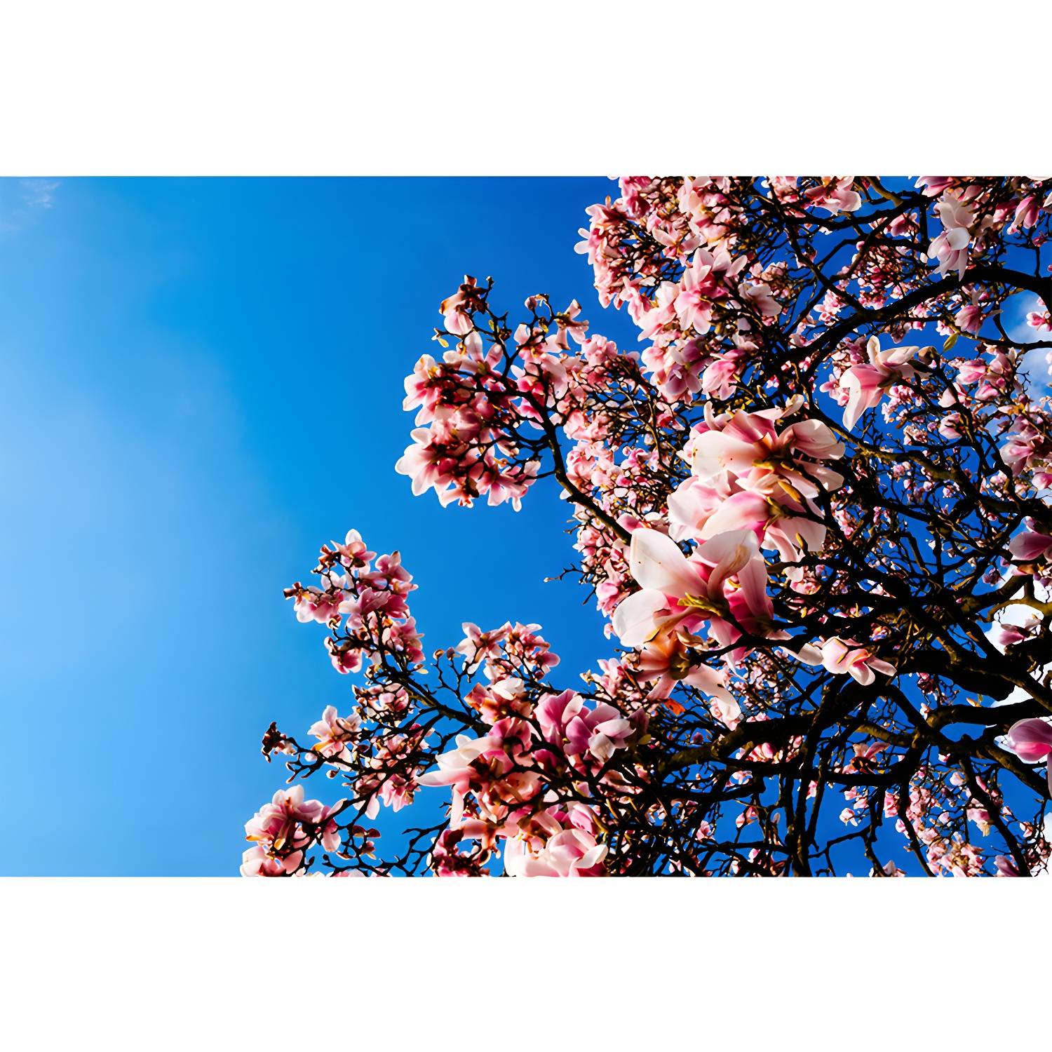 Imported image d1e2fd3aa4b1 3391511.jpg