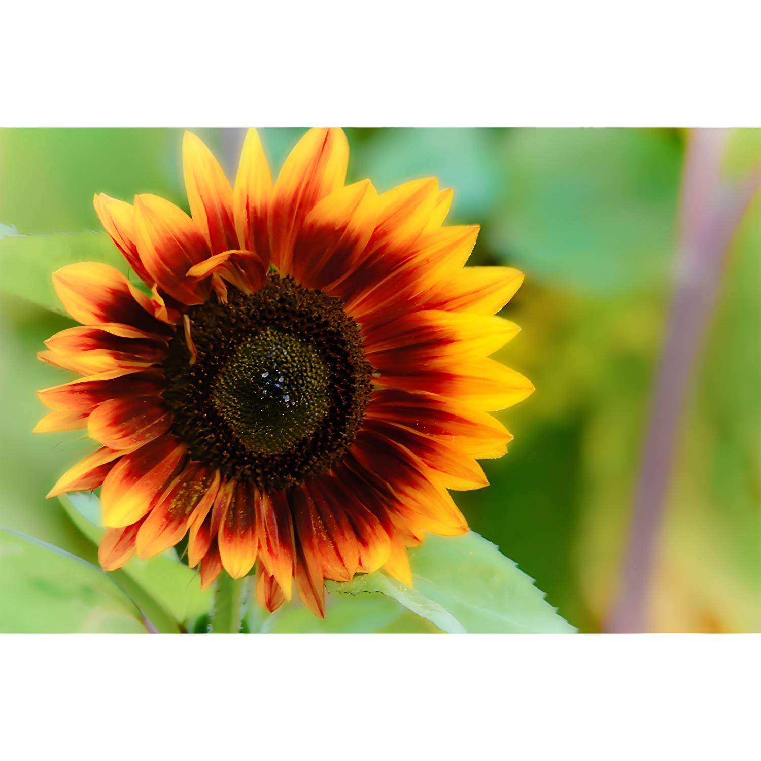 Imported image 6c5f53ef0b45 3391515.jpg