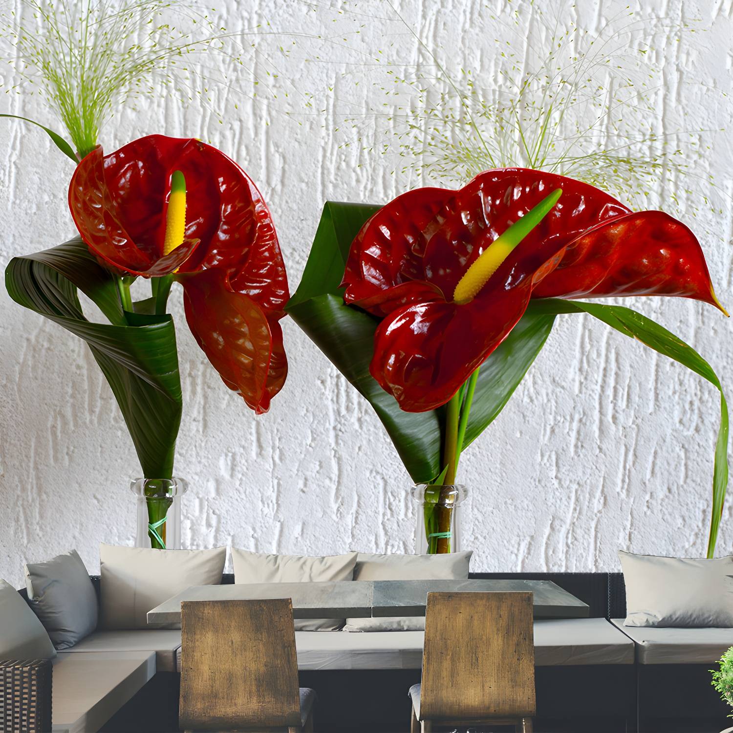 Imported image b5daf2d41e1e 3391534.jpg