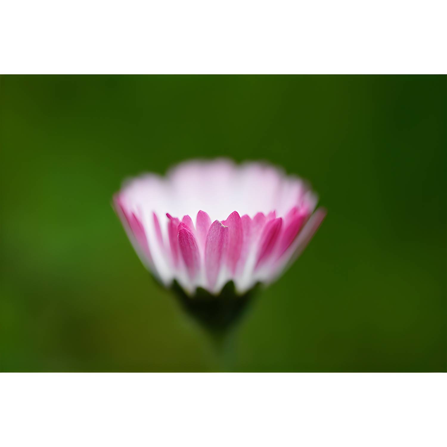 Imported image 77119c767b4e 3391583.jpg