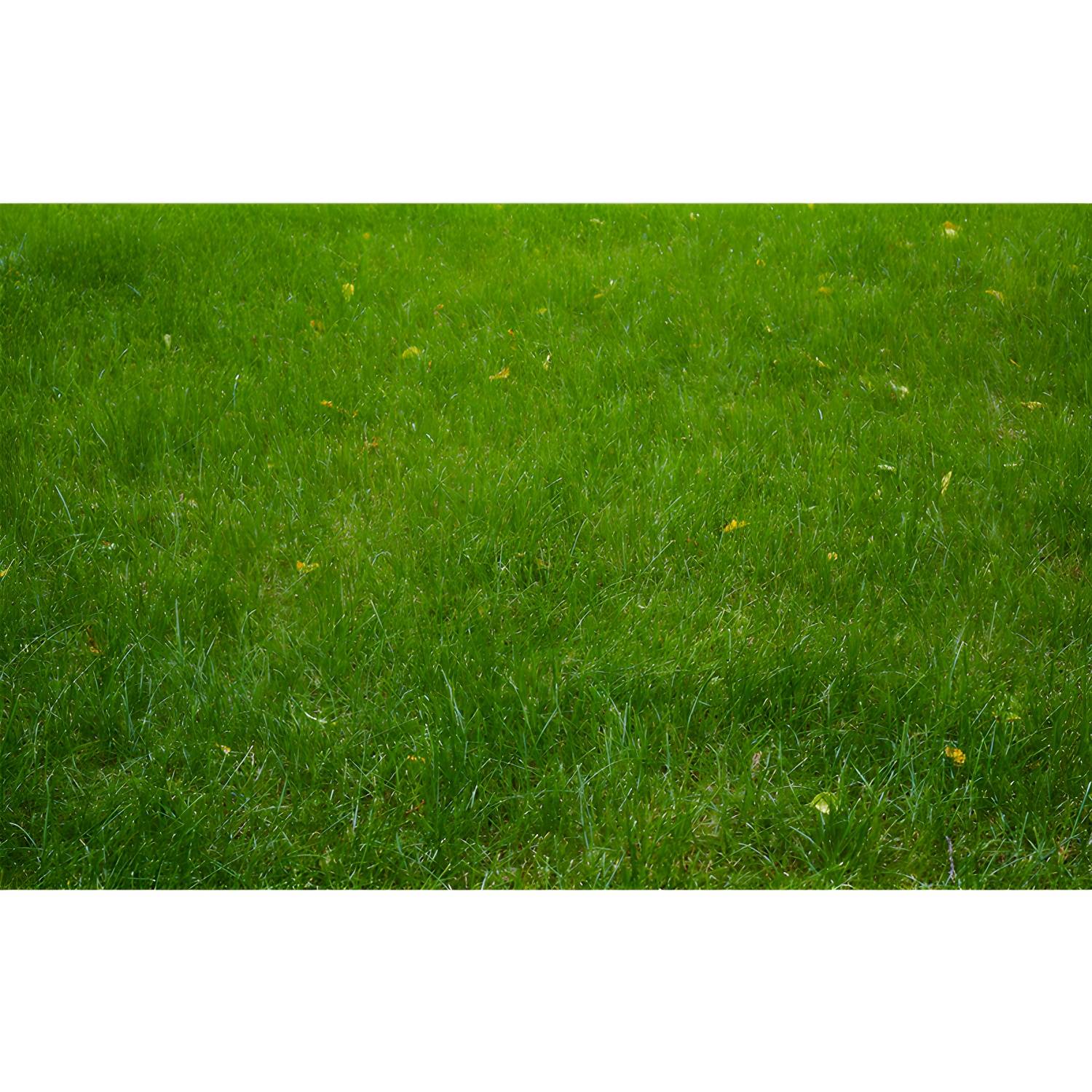 Imported image 799c5962852d 3391619.jpg