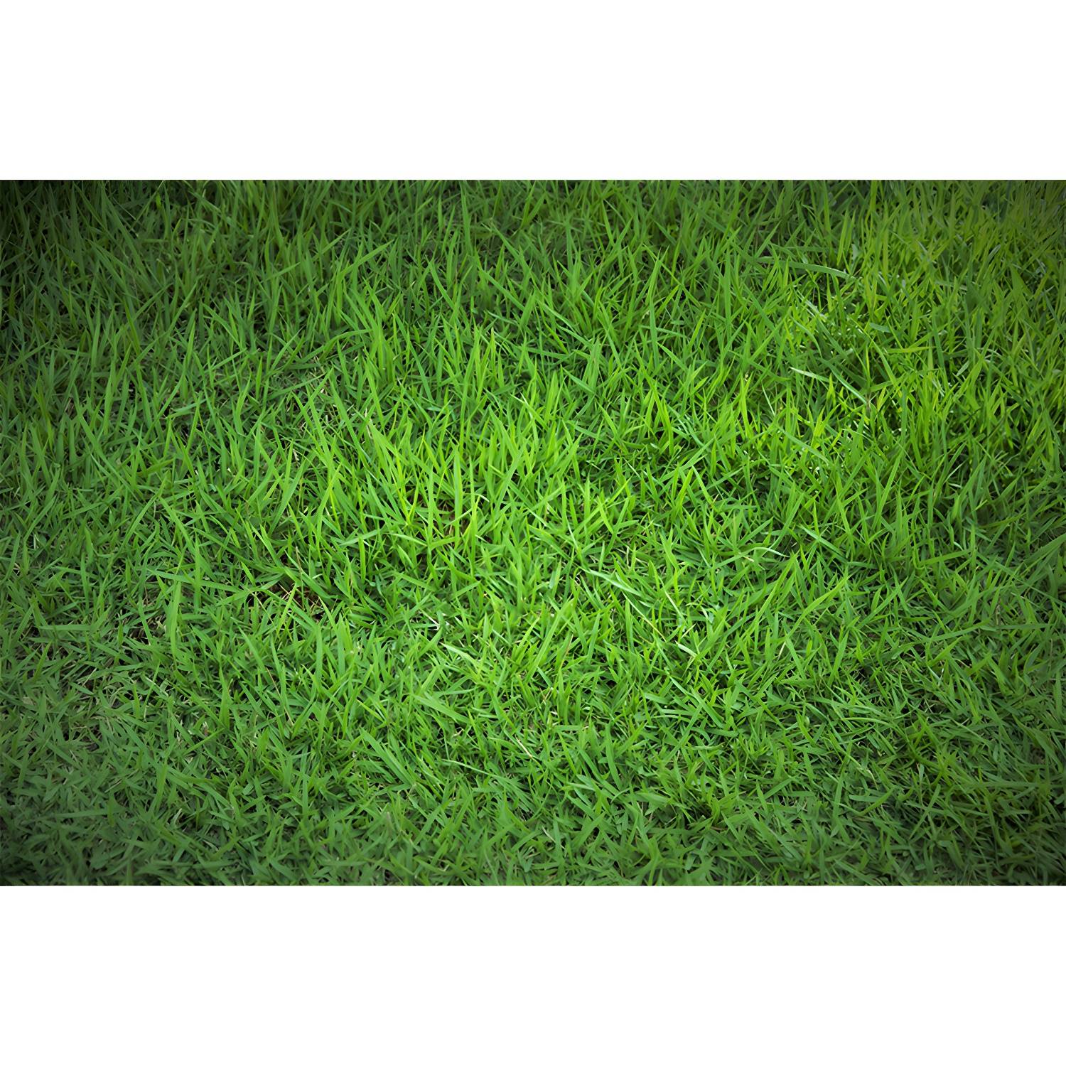 Imported image da1b3a5a8332 3391623.jpg