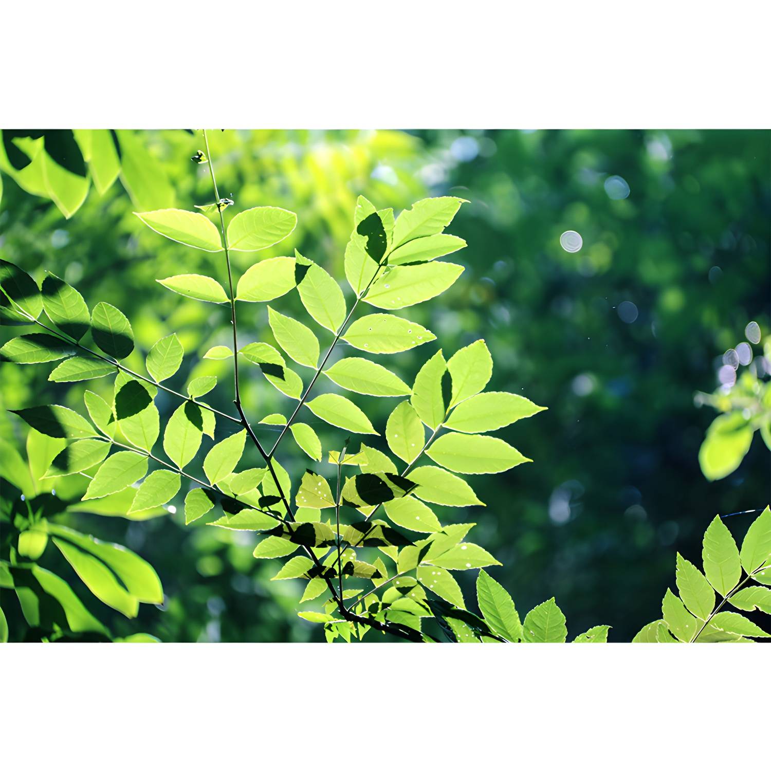 Imported image f2a40e4456ab 3391663.jpg