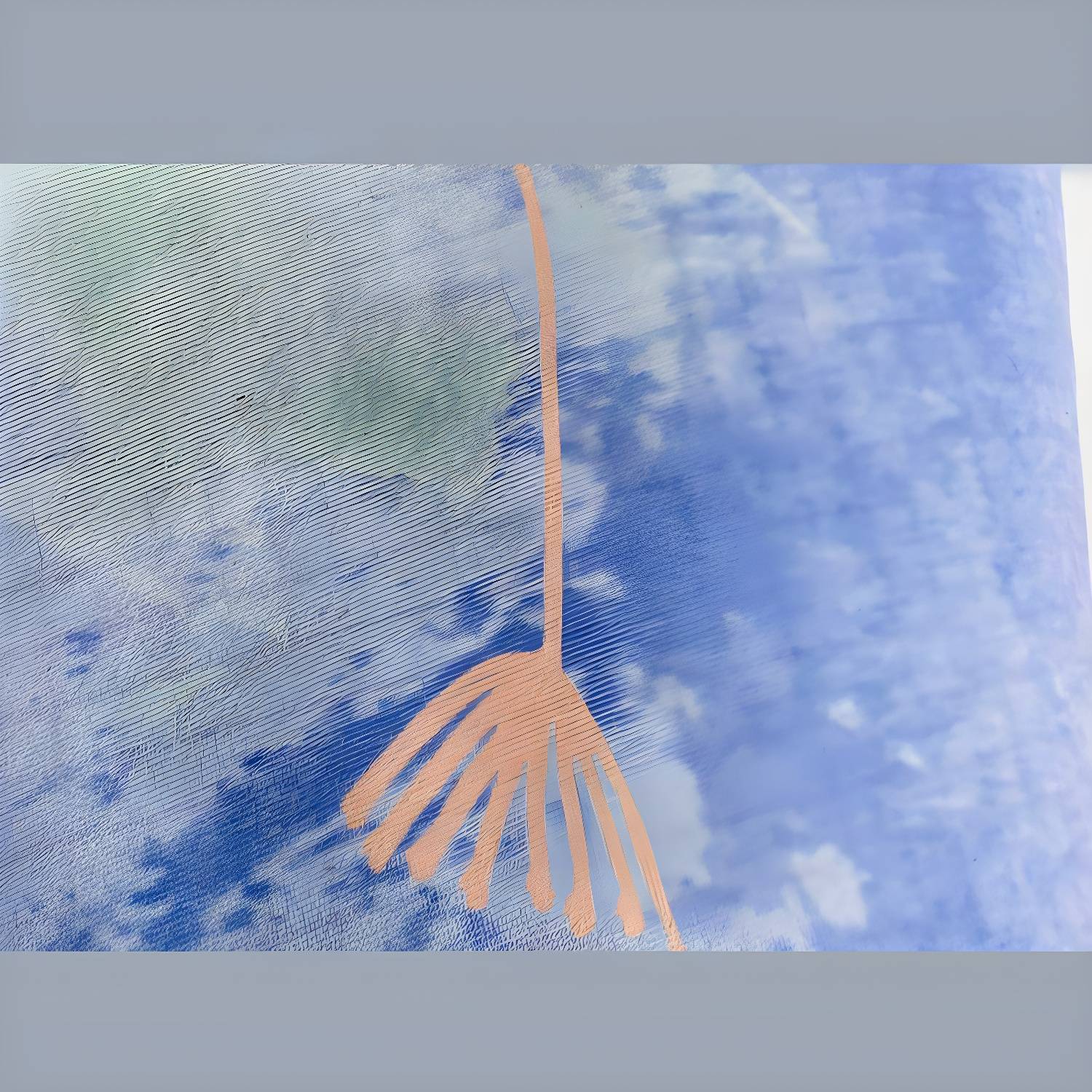 Imported image 6226b73d84c1 3396336.jpg