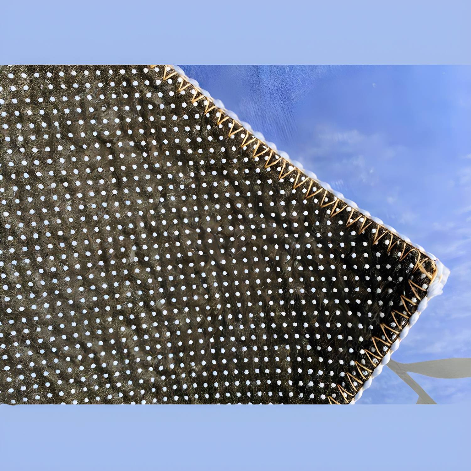 Imported image 205db3a7ba69 3396410.jpg