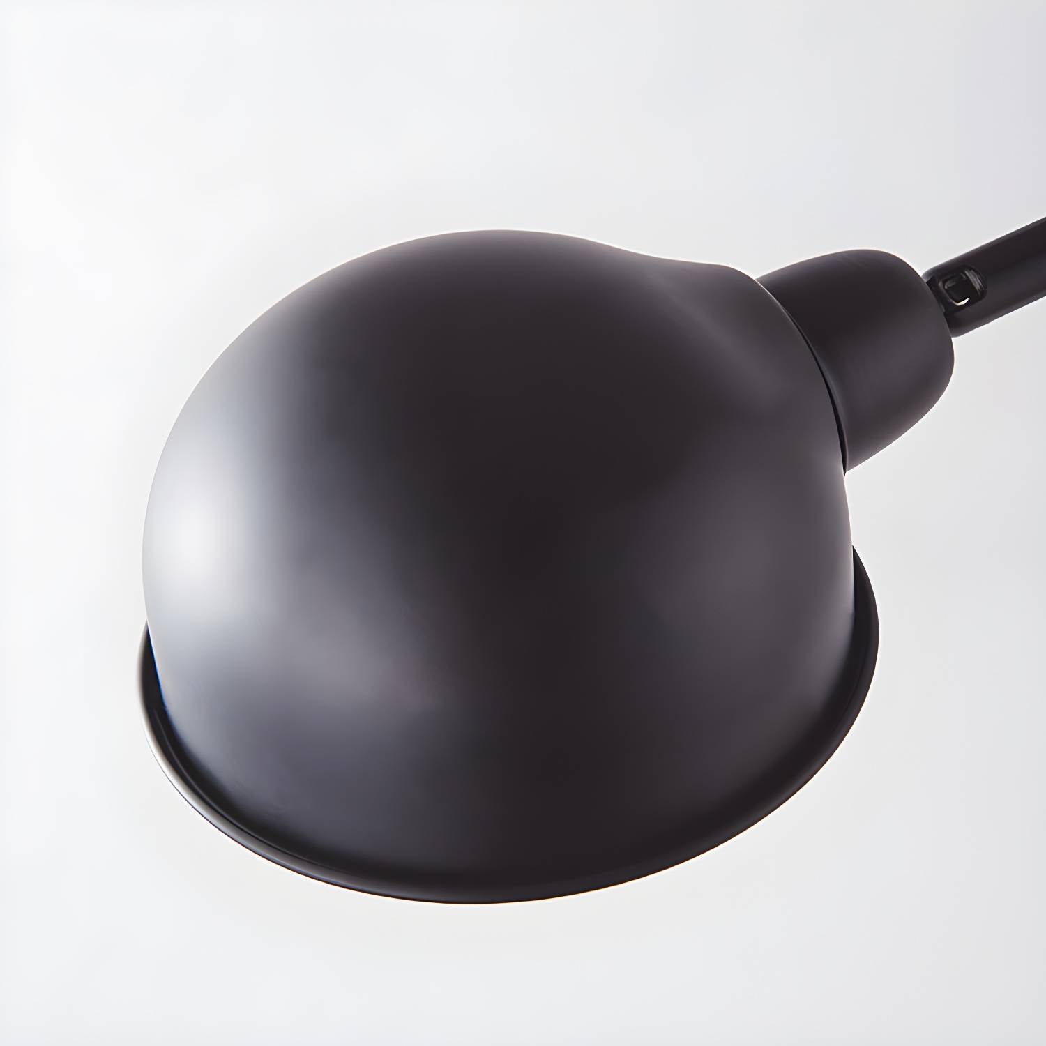 Imported image 16e1d0fb6bf1 3403870.jpg
