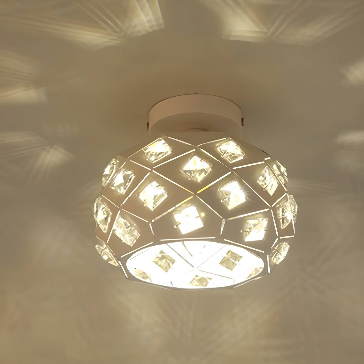 Imported image abacf64d73f2 3404488.jpg