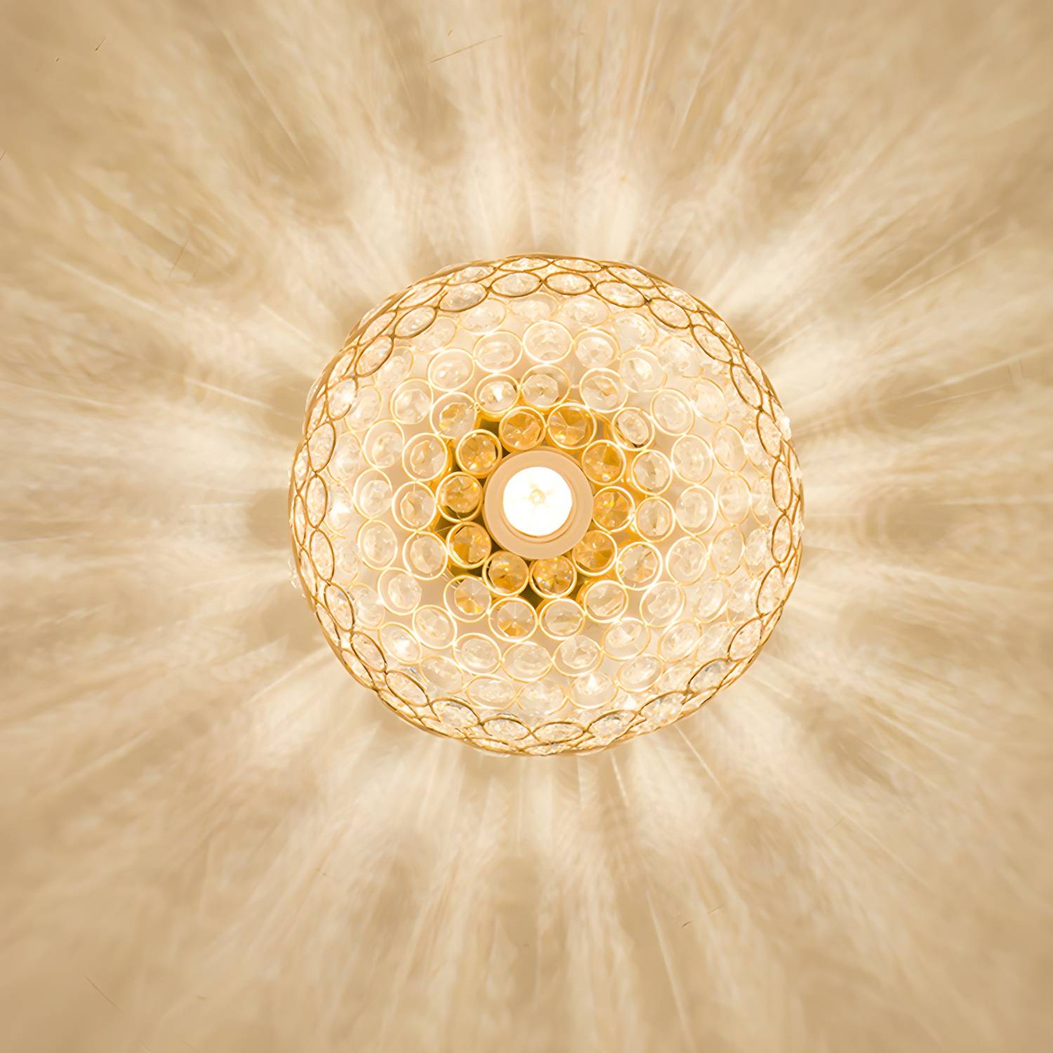 Imported image 62800e5c5c1d 3404503.jpg