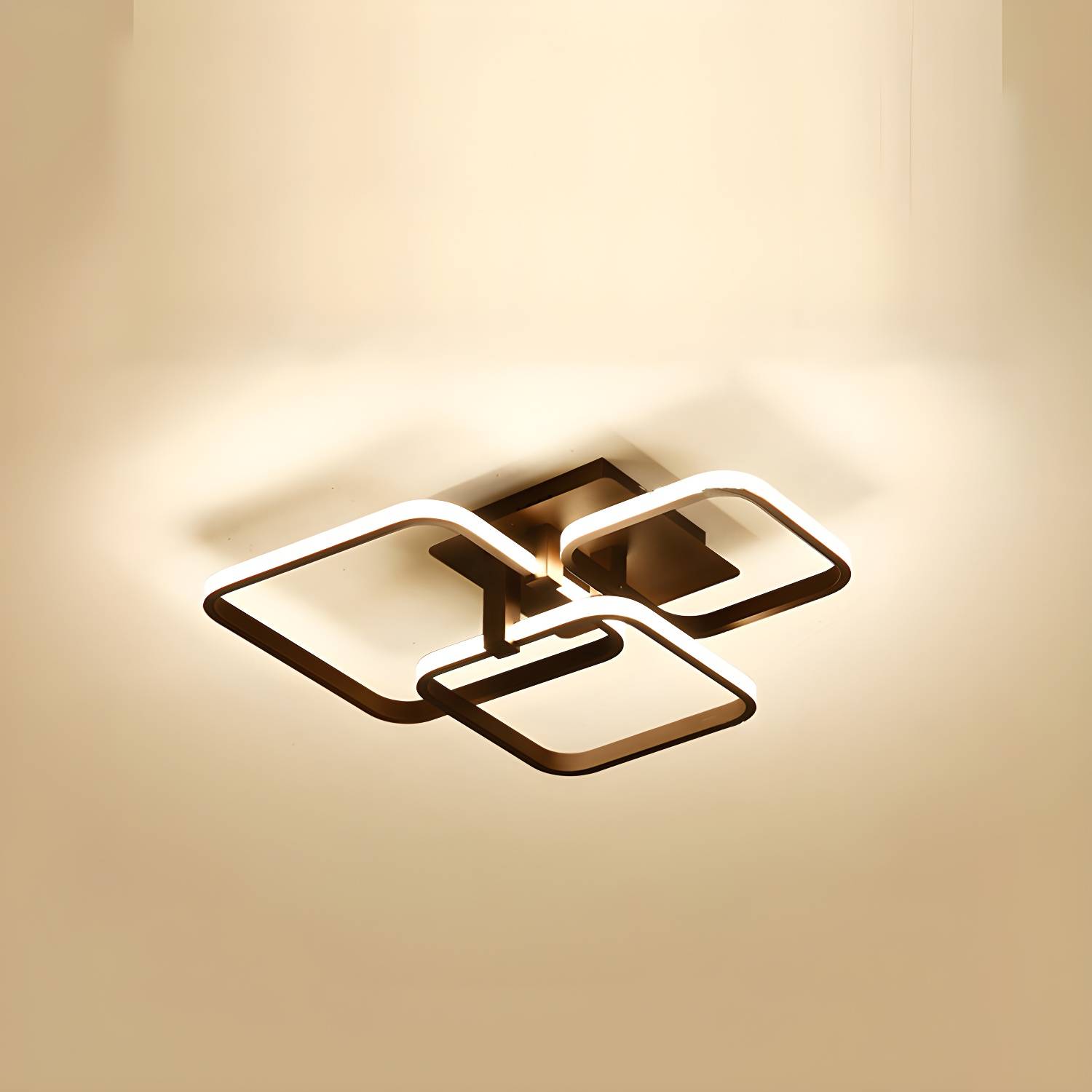 Imported image d722f08798e1 3404691.jpg