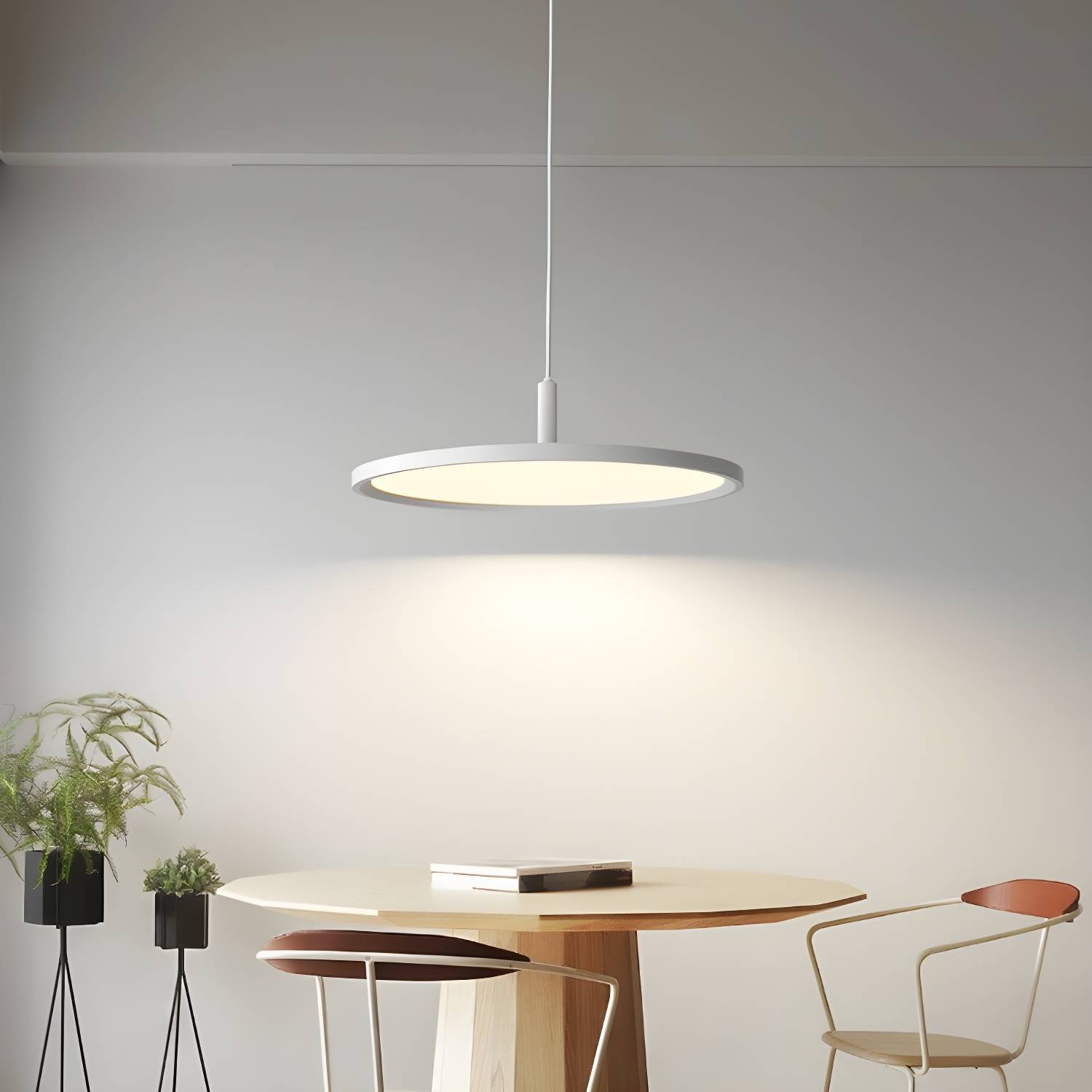 Imported image 573d7dbddd39 3405061.jpg