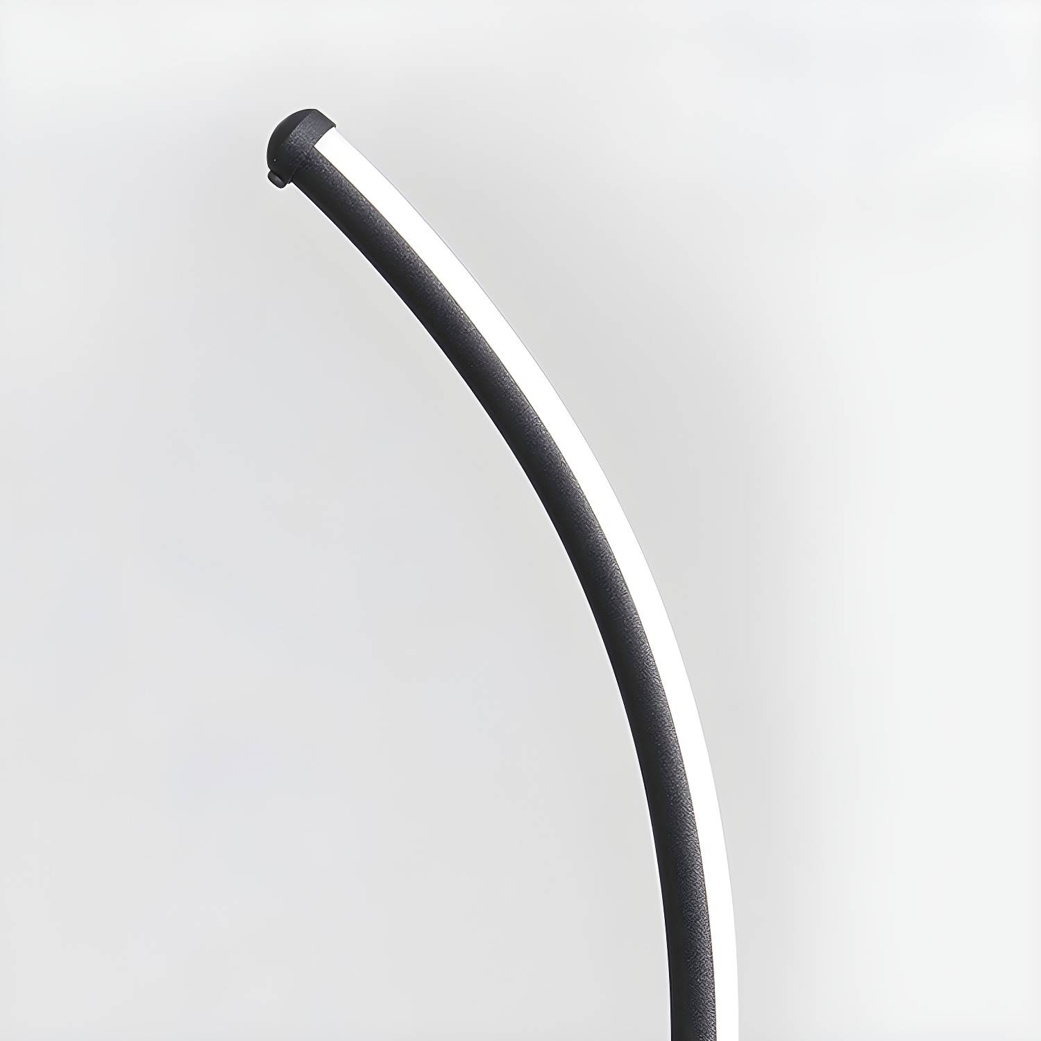 Imported image 2abac48cc36a 3405148.jpg