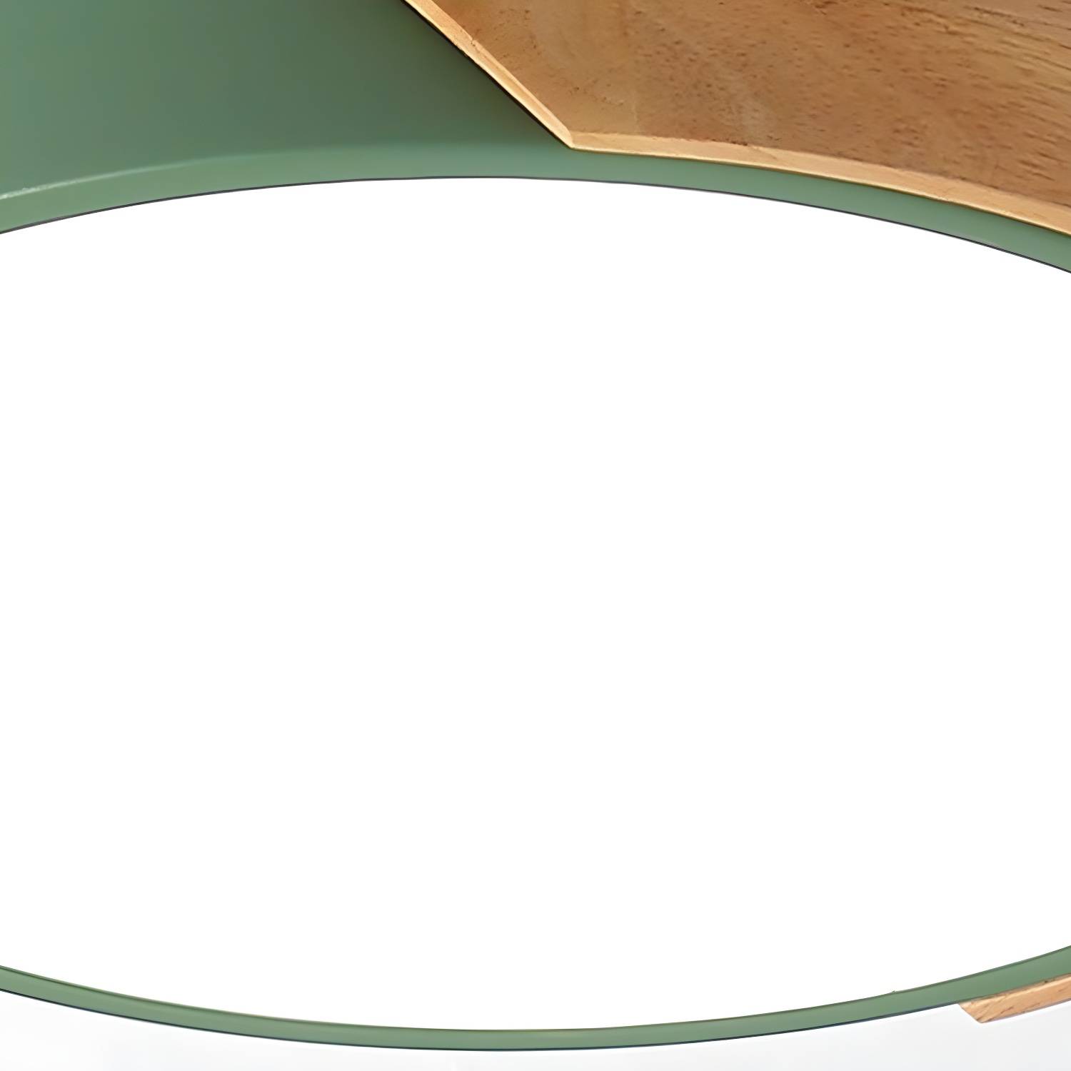 Imported image 5485f57a5281 3405979.jpg