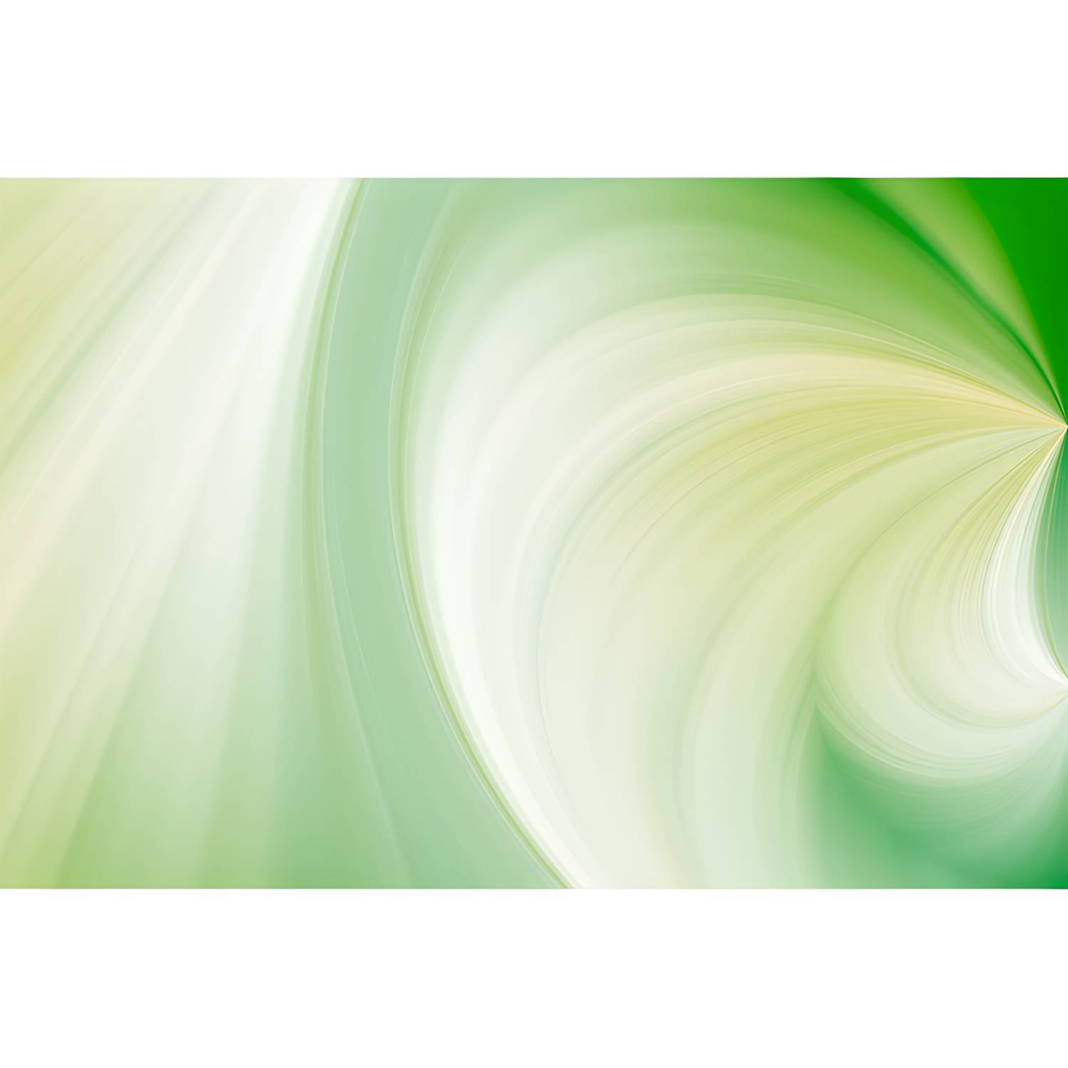 Imported image 677f2a6d9d84 3408018.jpg