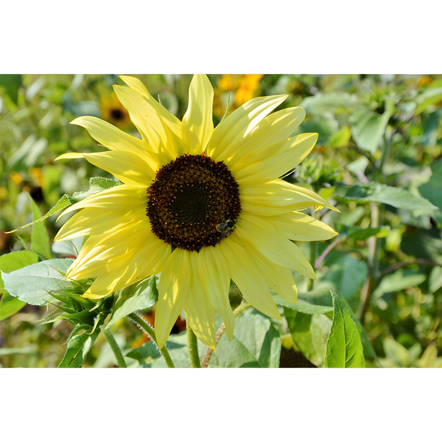Imported image 449a3cf0007b 3408298.jpg