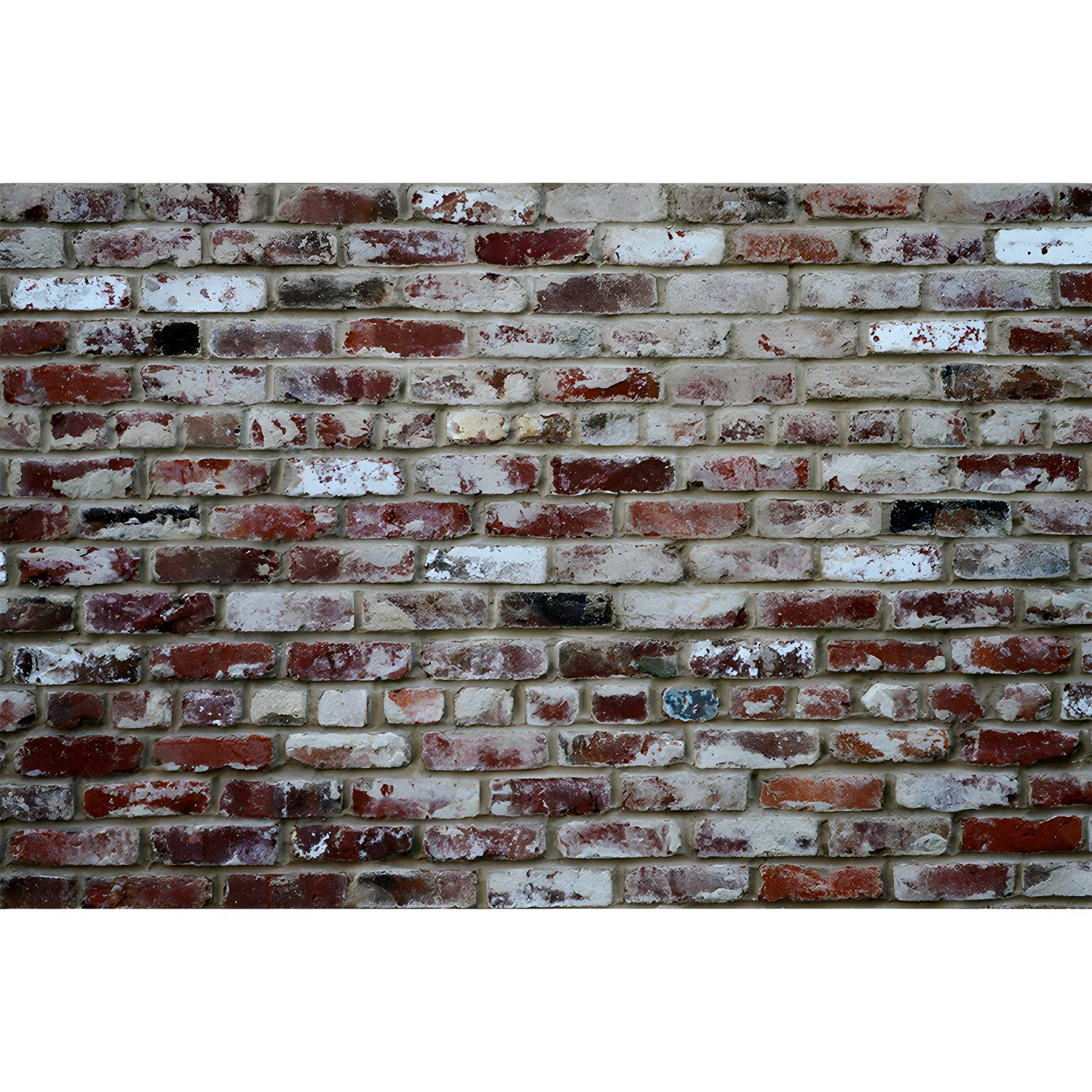 Imported image 8aaf5247ada7 3408338.jpg
