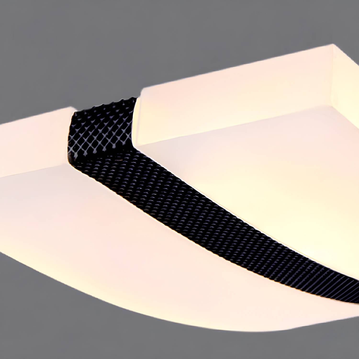 Imported image 5d86887a549d 3409579.jpg
