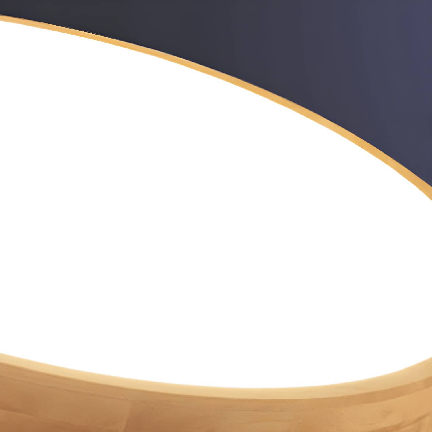 Imported image b00c438d74a5 3427801.jpg