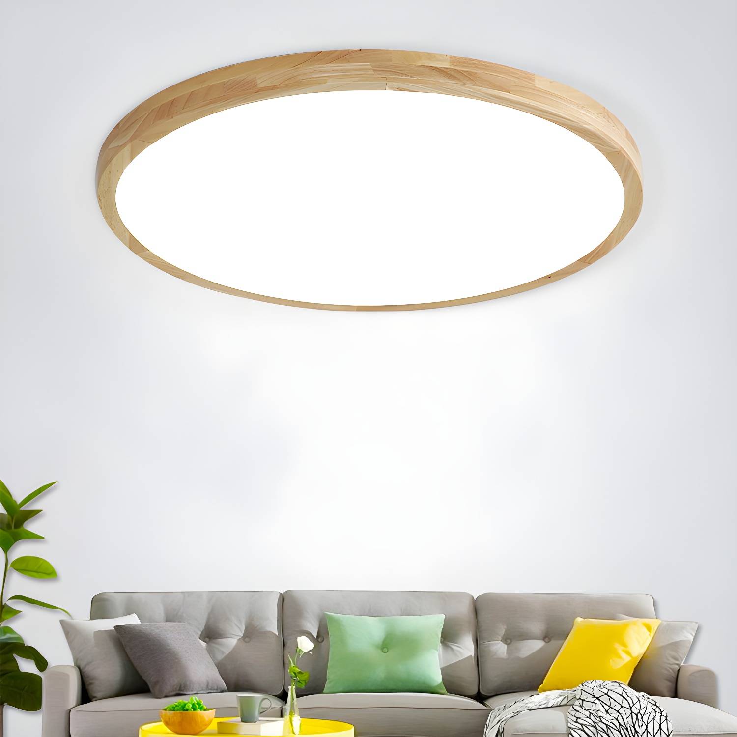 Imported image cce6f747a762 3428572.jpg