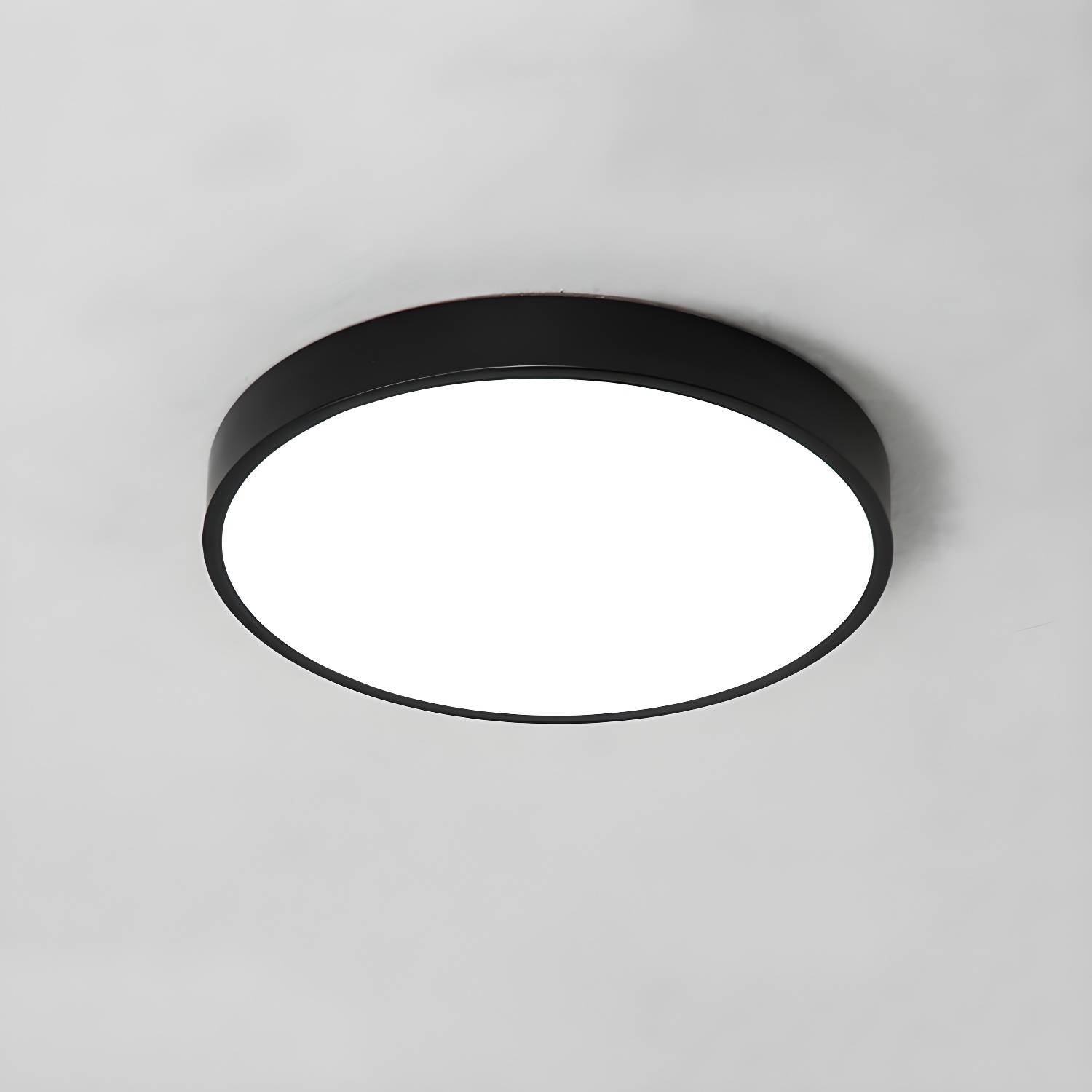 Imported image 9e3be1ca6270 3428629.jpg