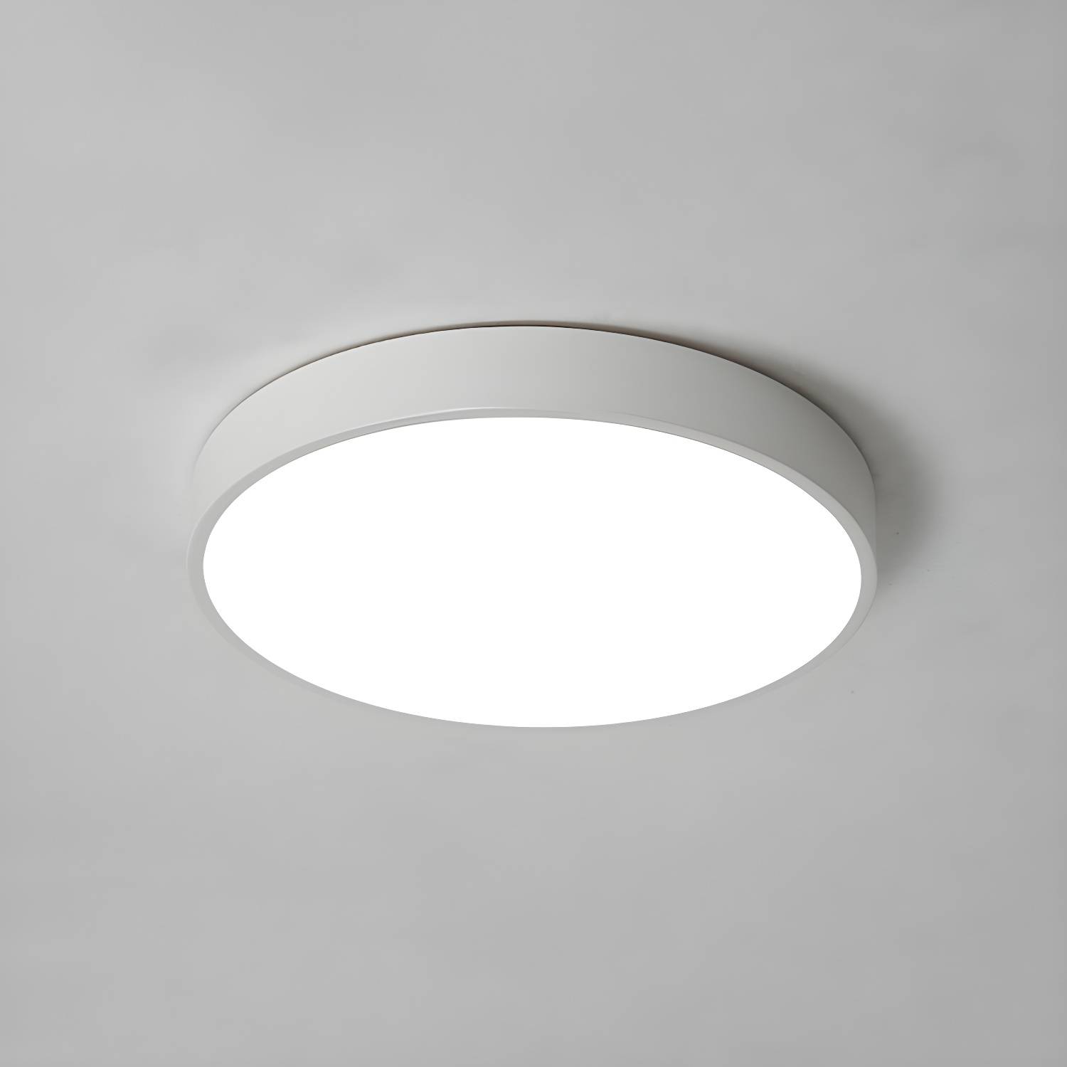 Imported image c4af3cf7d426 3428633.jpg
