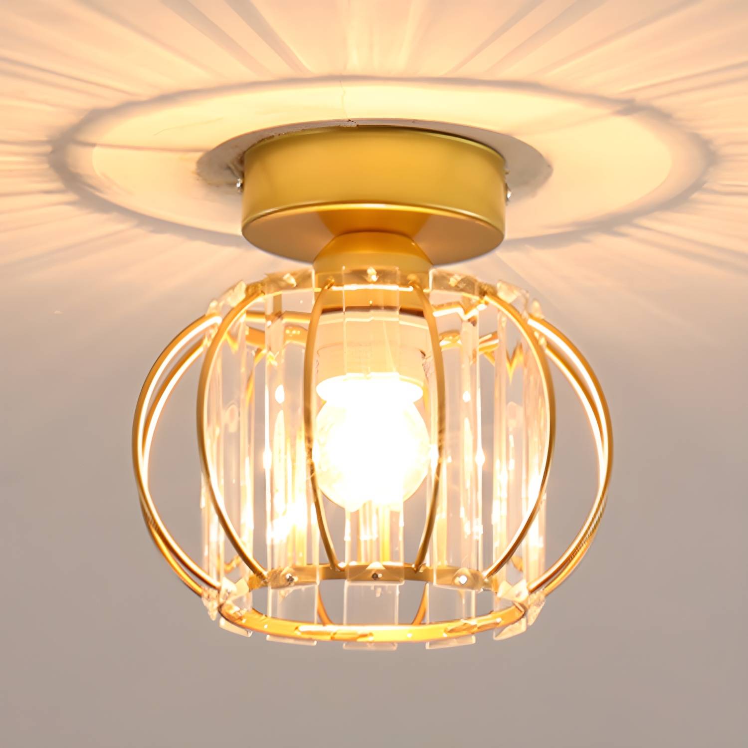 Imported image f77e24bece85 3433724.jpg