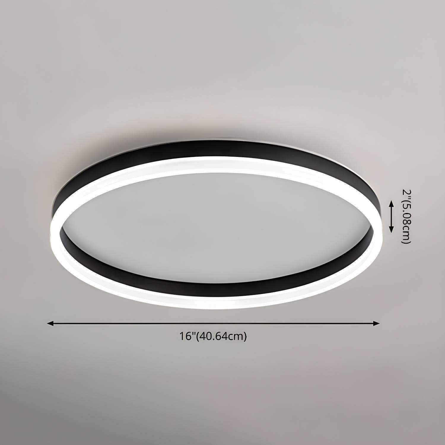 Imported image 806c56b1b9cb 3437569.jpg