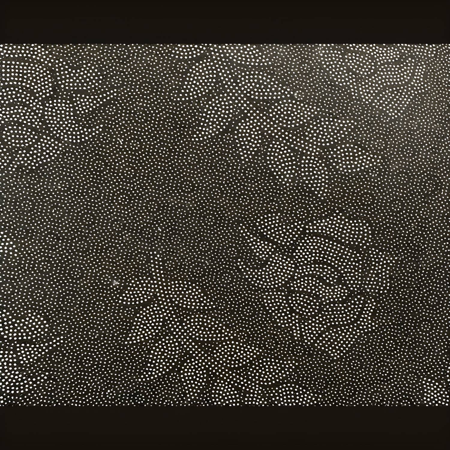 Imported image 415e17d90e43 3439450.jpg