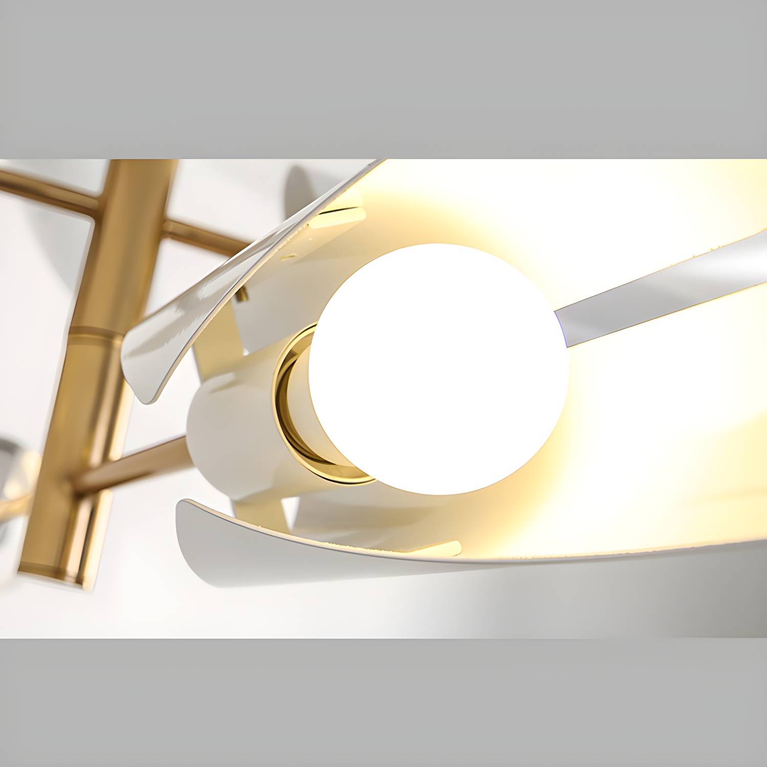Imported image debd988ae01f 3440467.jpg