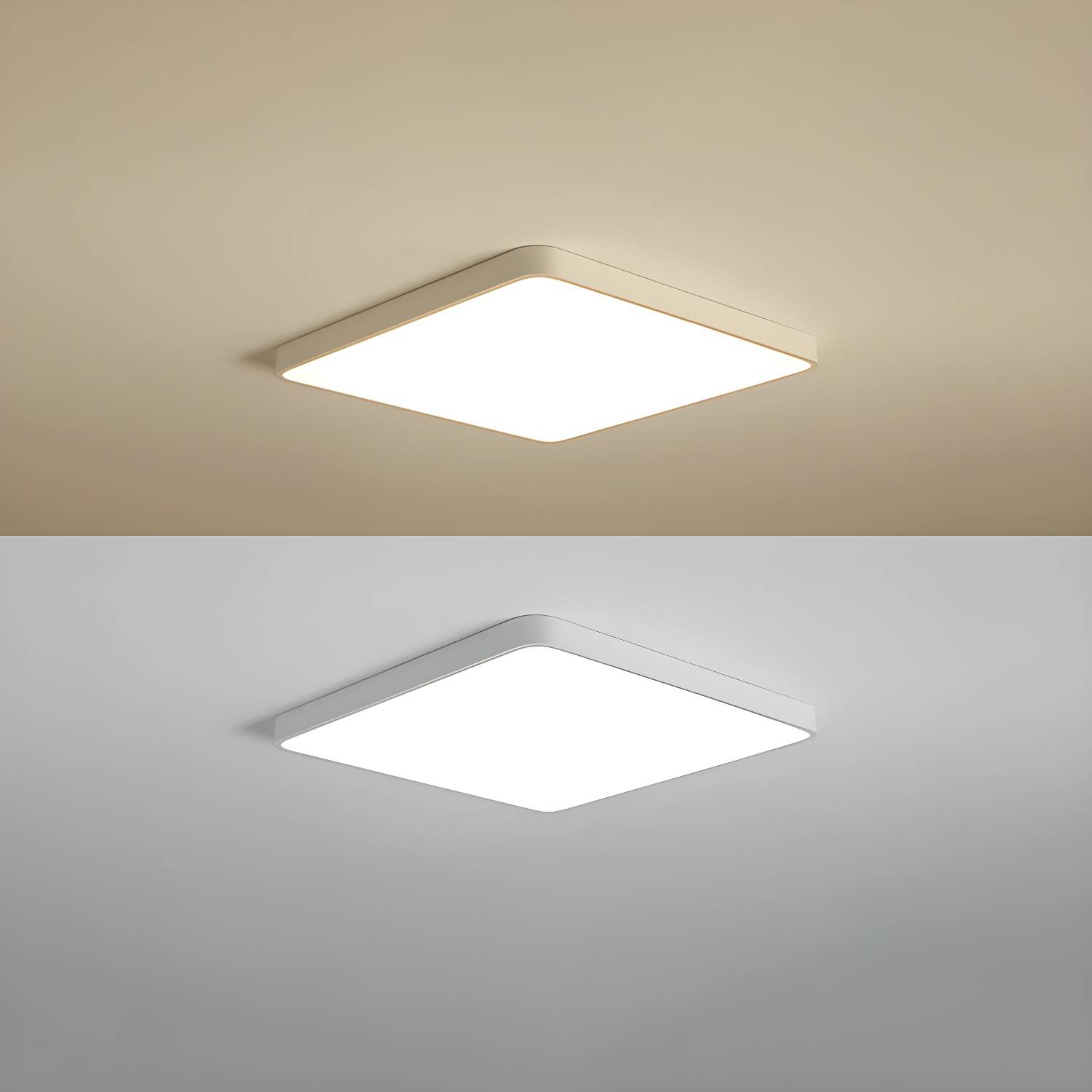 Imported image ce32dfad606a 3441189.jpg