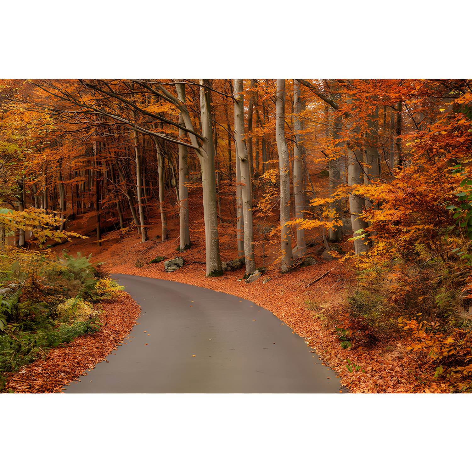 Imported image 6a6d6e3331a1 3444451.jpg