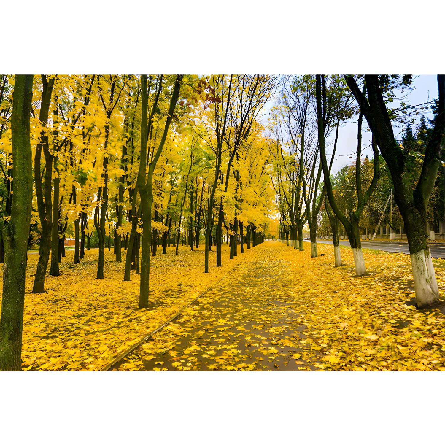 Imported image ce69fd3ea5e7 3444455.jpg