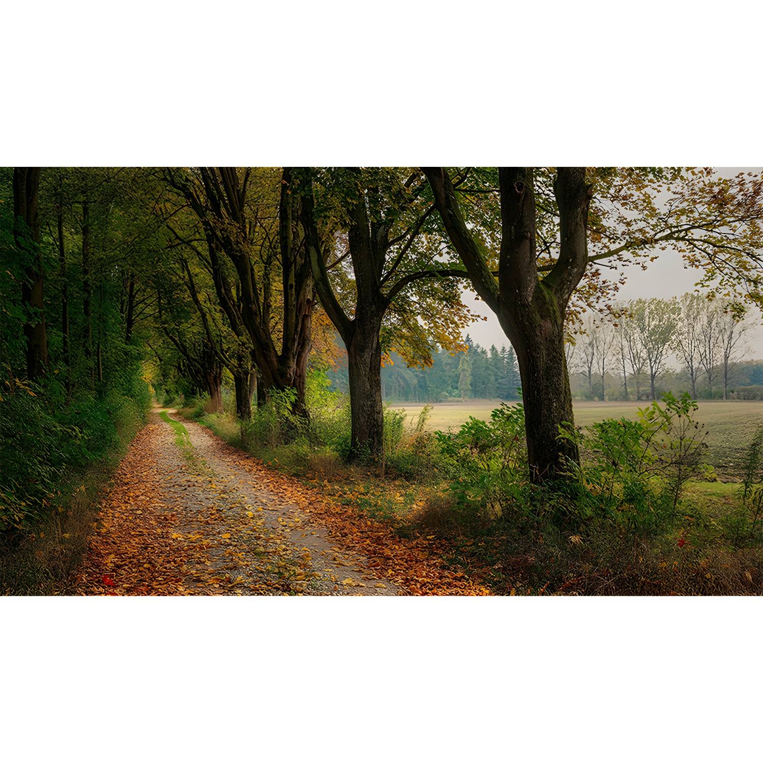 Imported image c68adccd0e32 3444487.jpg