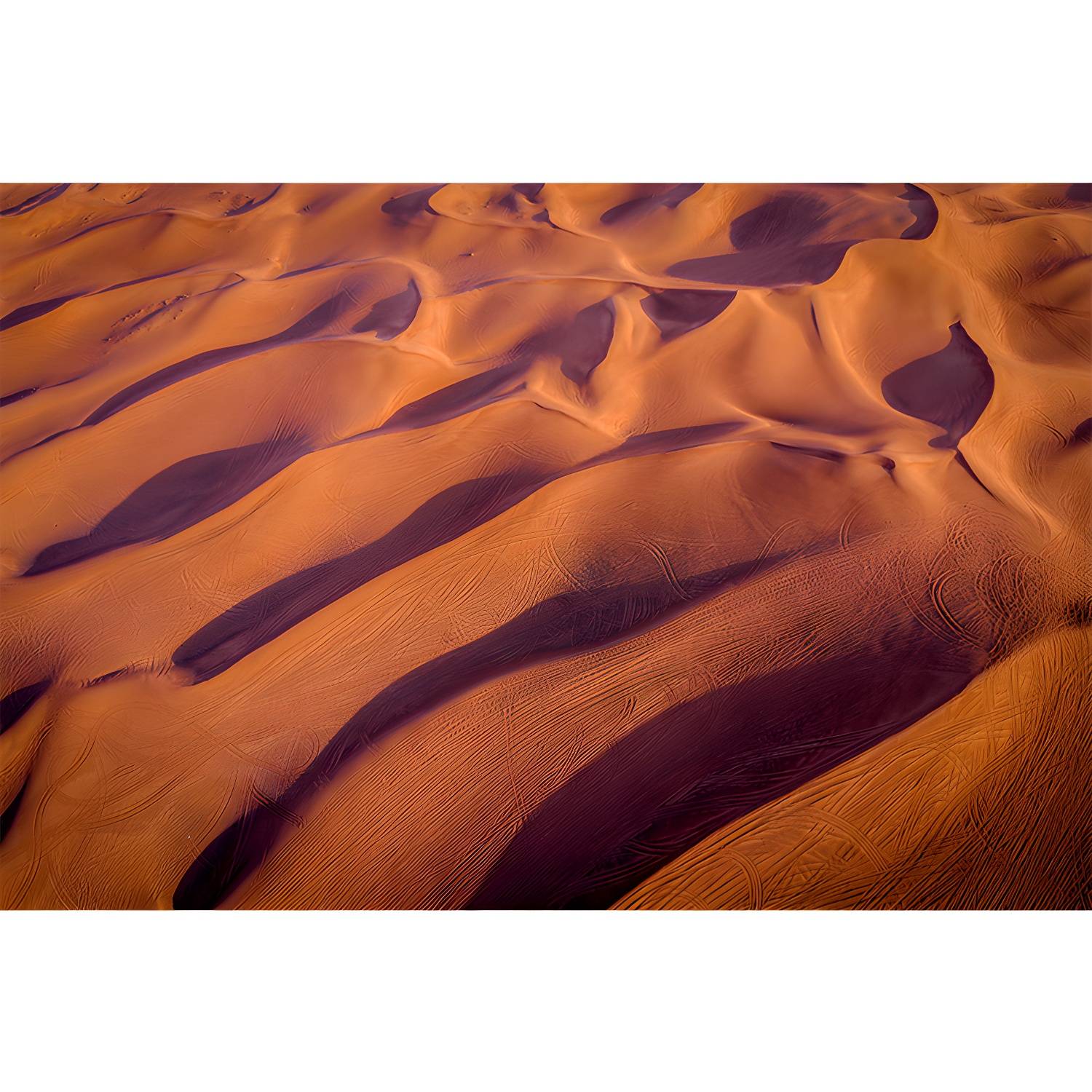 Imported image d8b04883c709 3444523.jpg