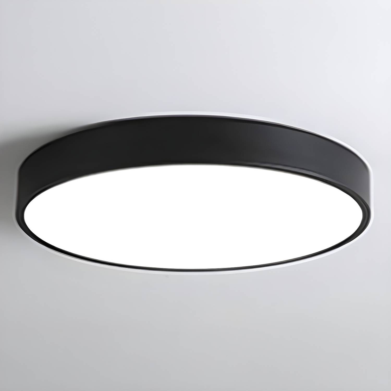 Imported image fa1dfd6d7d4a 3445045.jpg