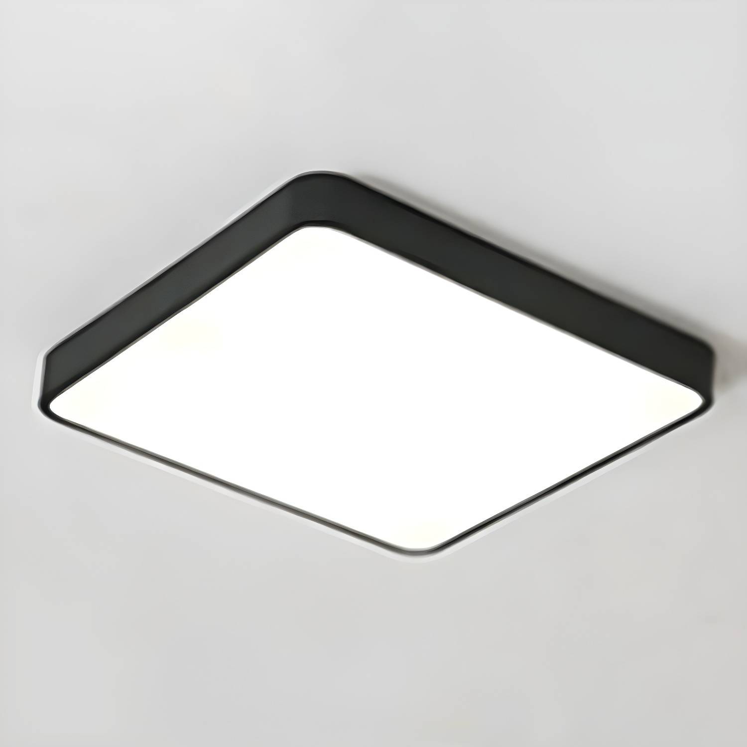 Imported image 62b4c15ada6e 3445060.jpg