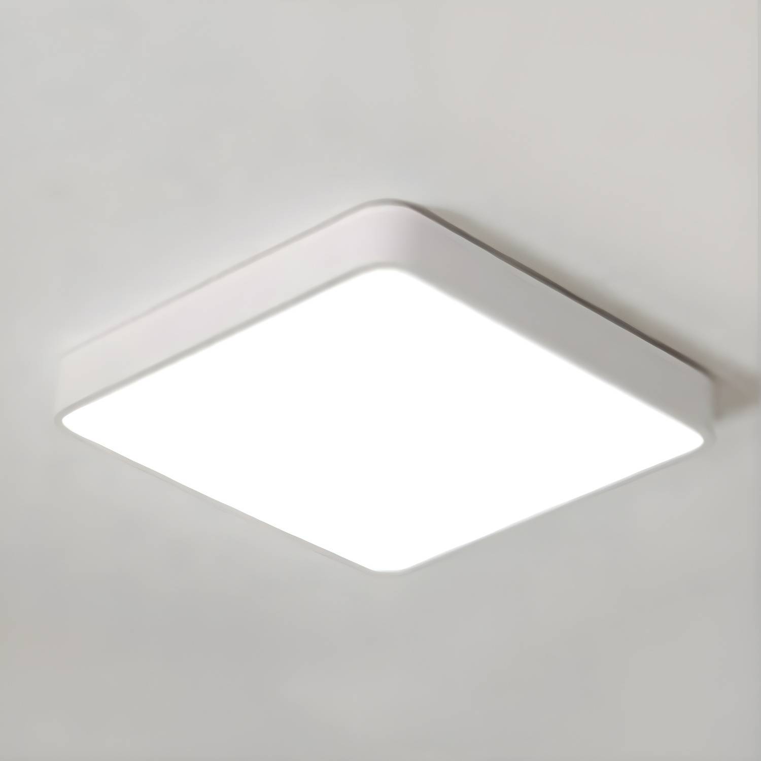 Imported image 2bed1cb630d5 3445065.jpg